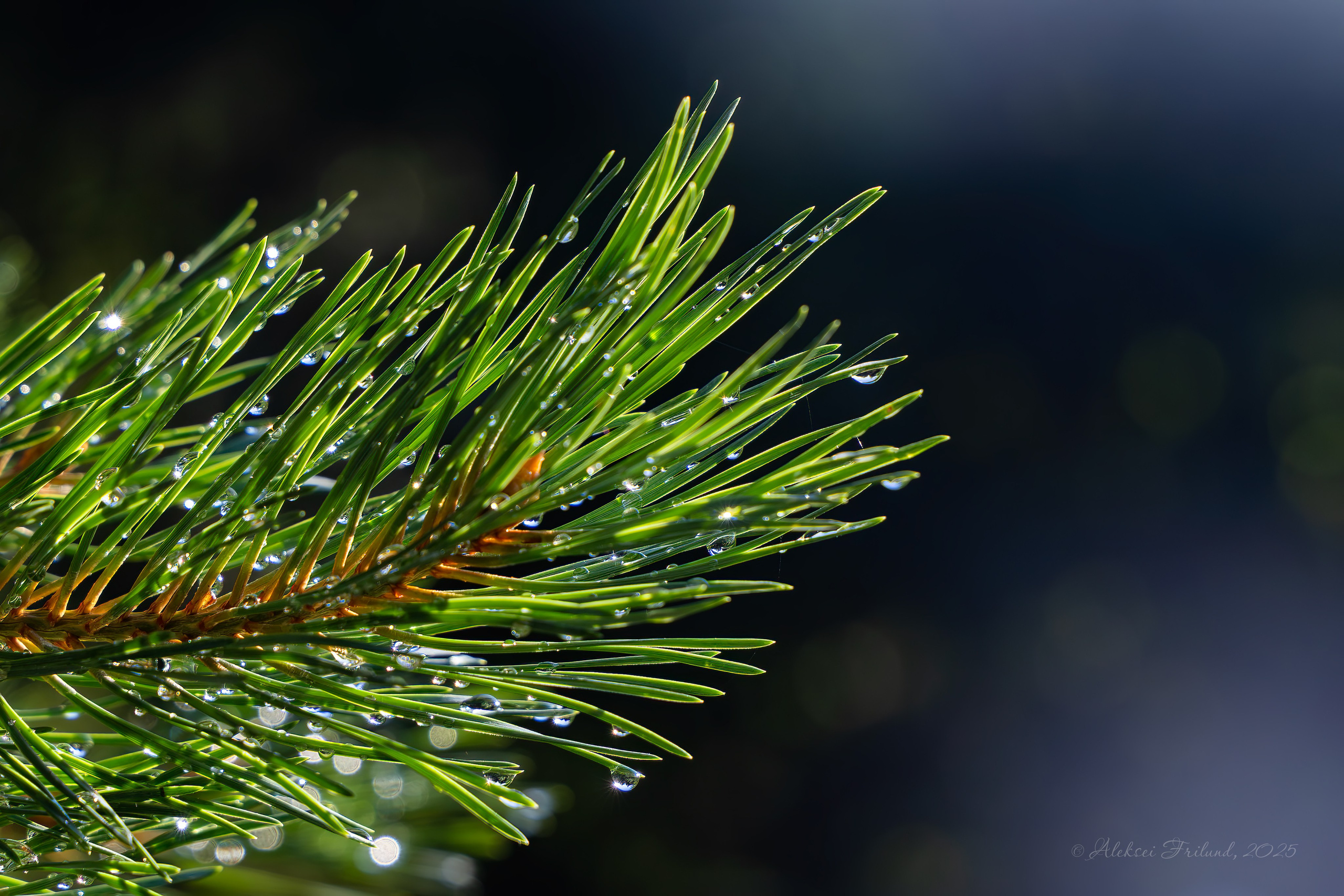 Природа Карелии. Аэросъемка. Фото и Видео в Карелии. Алексей Фрилунд