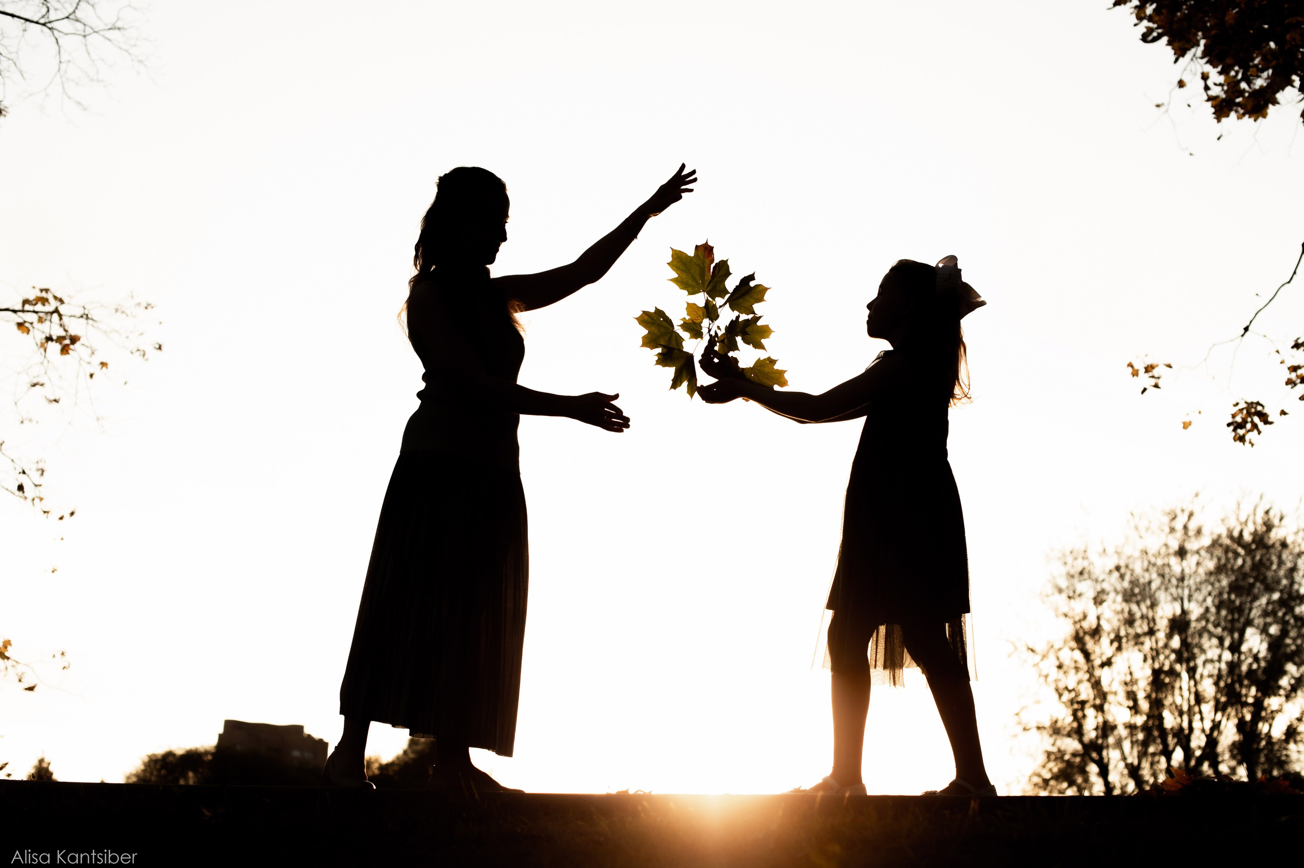 Настя. Фотограф Алиса Канцибер. Москва. Портрет, семейное фото, свадьбы