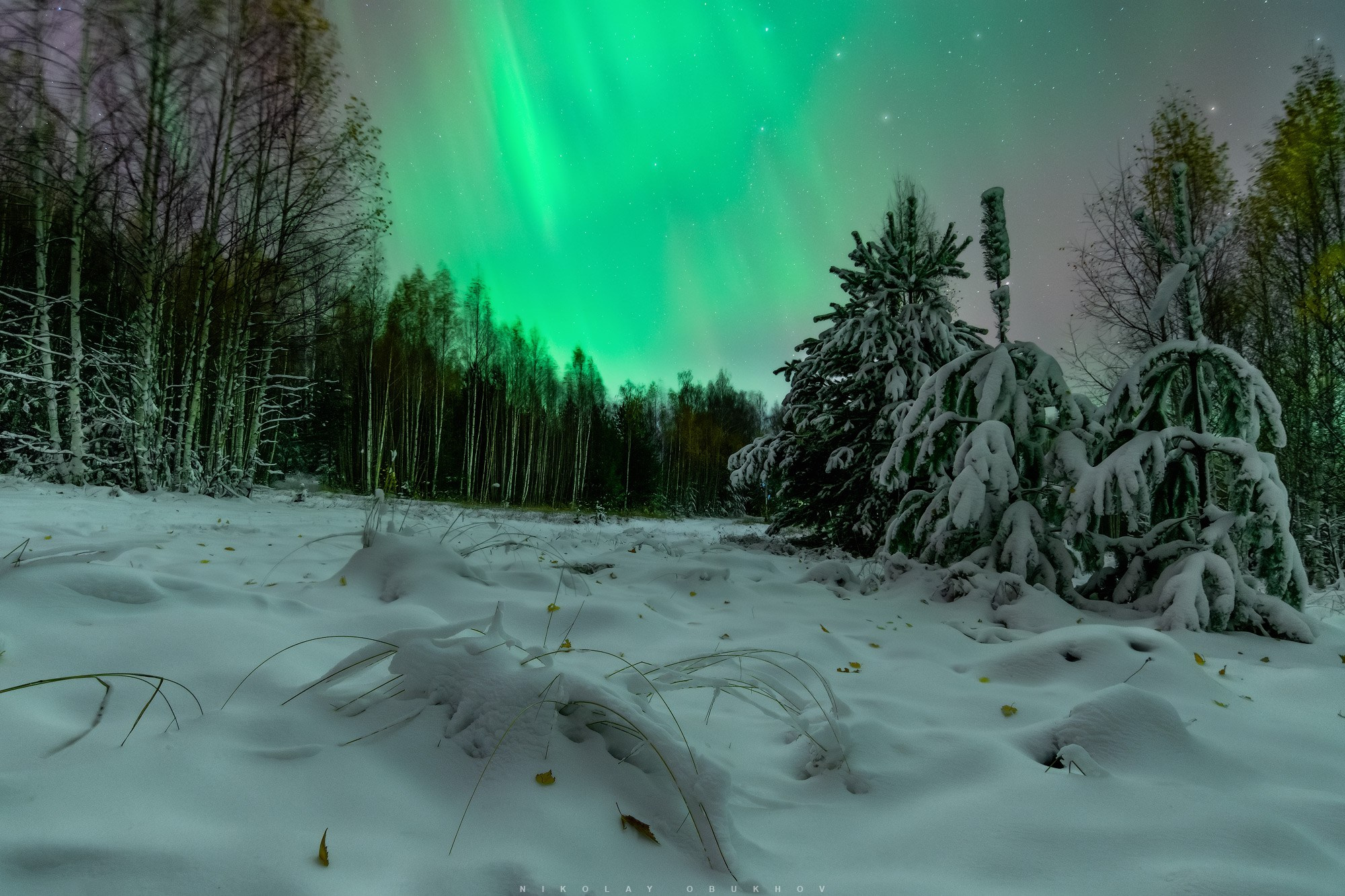 Первый снег в октябре и северное сияние, заснеженные деревья и трава в снегу в Черноисточинске вблизи города Нижний Тагил.