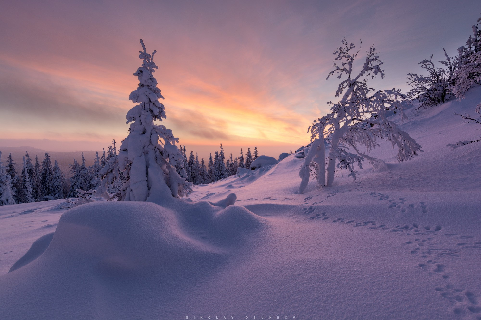 Тайна зимнего леса на горе Белая раскрывается в утреннем свете в Уральских горах.