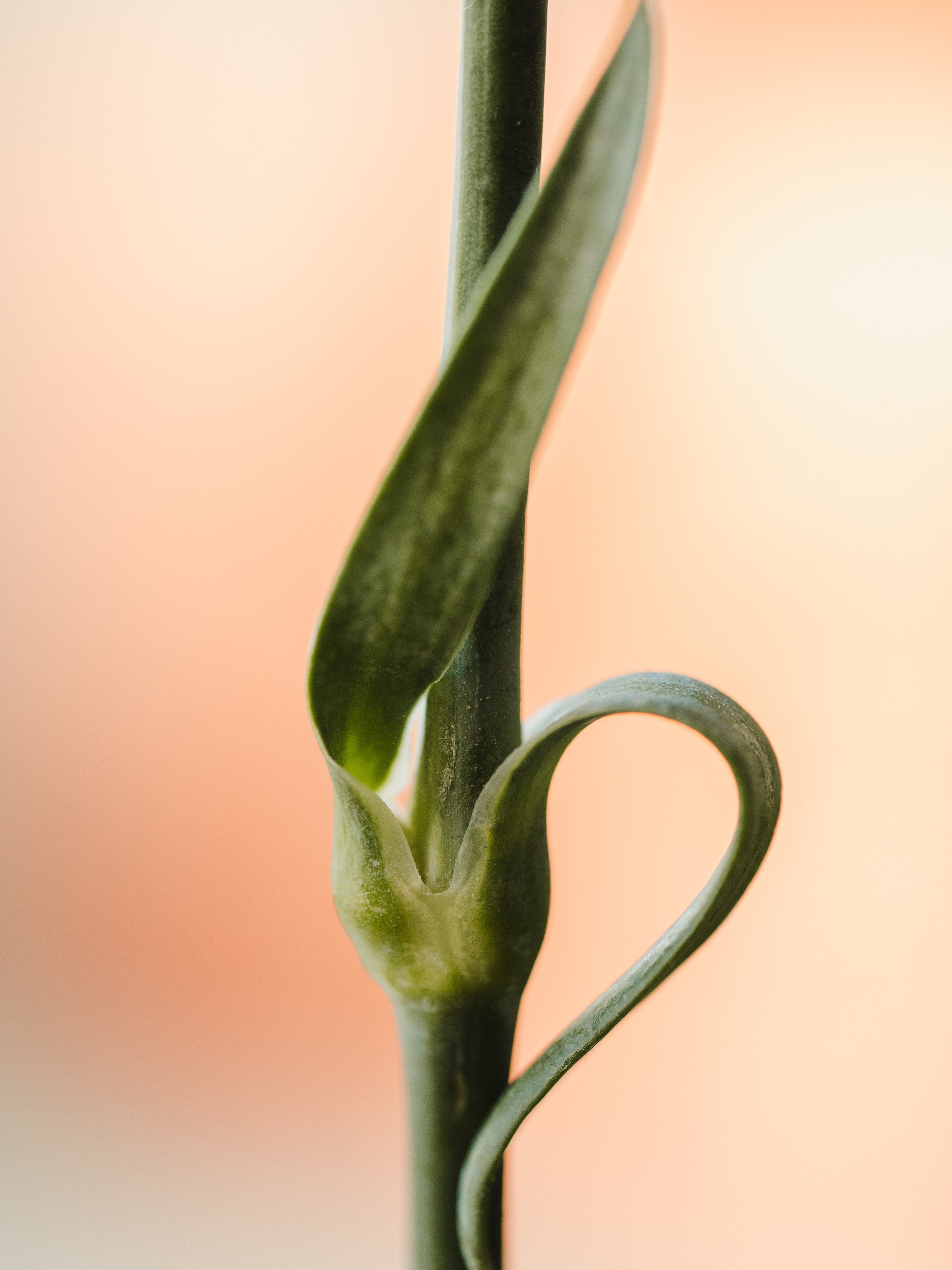 Ростов-на-Дону «МИР В ДЕТАЛЯХ». ARTEXPOPHOTO