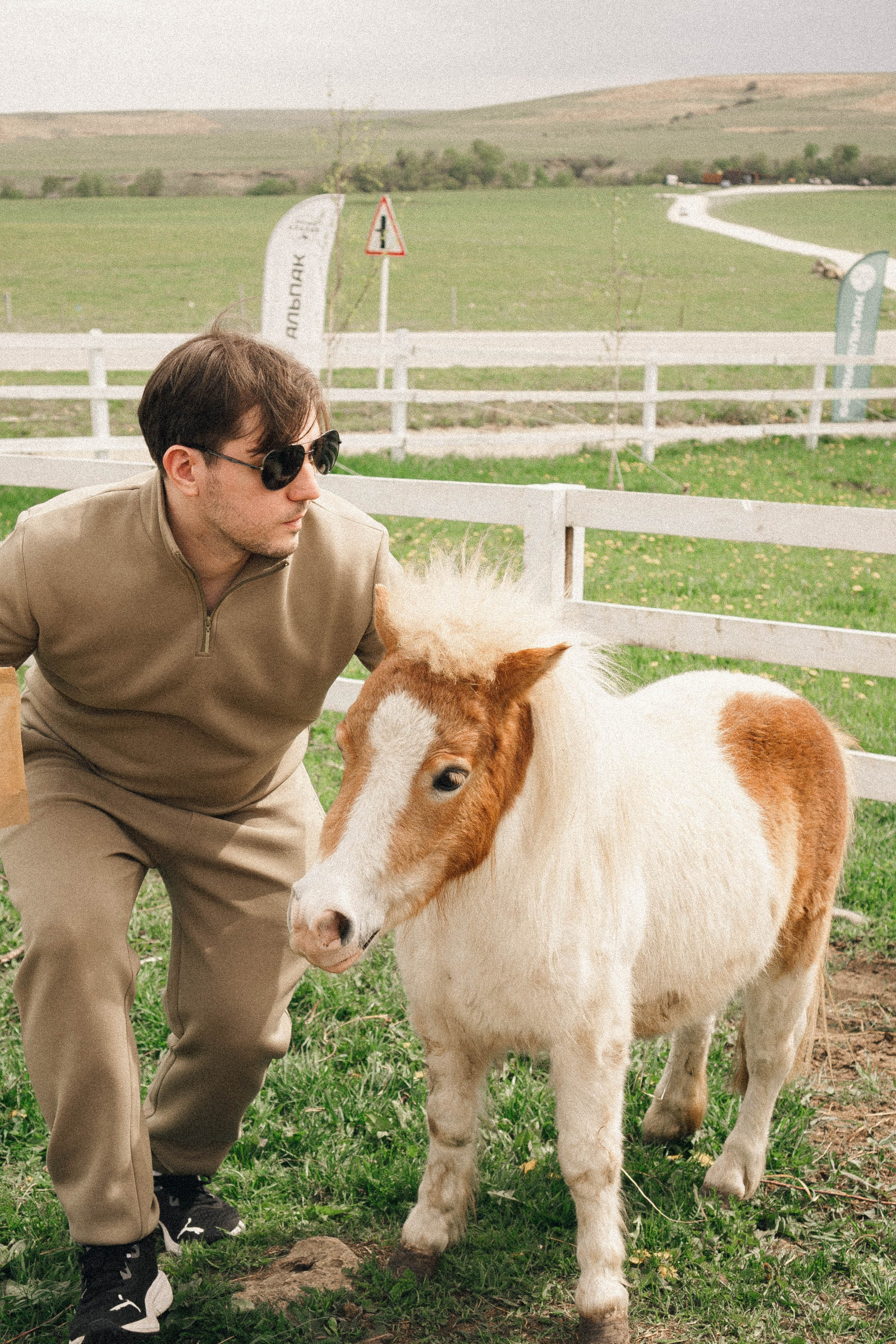 Ферма Альпак. Профессиональный фотограф, Санкт-Петербург — Виктория Богомолова