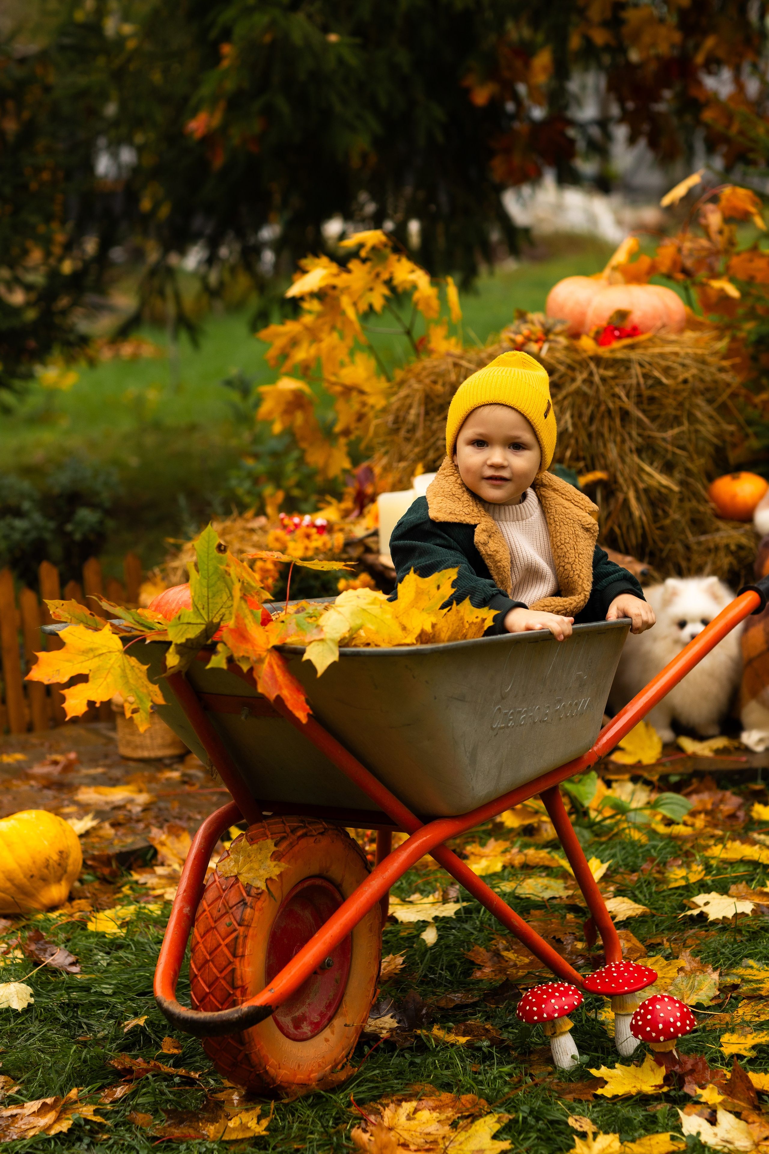 Осень. Профессиональный ретушер Москва и весь мир — Елена Тимченко