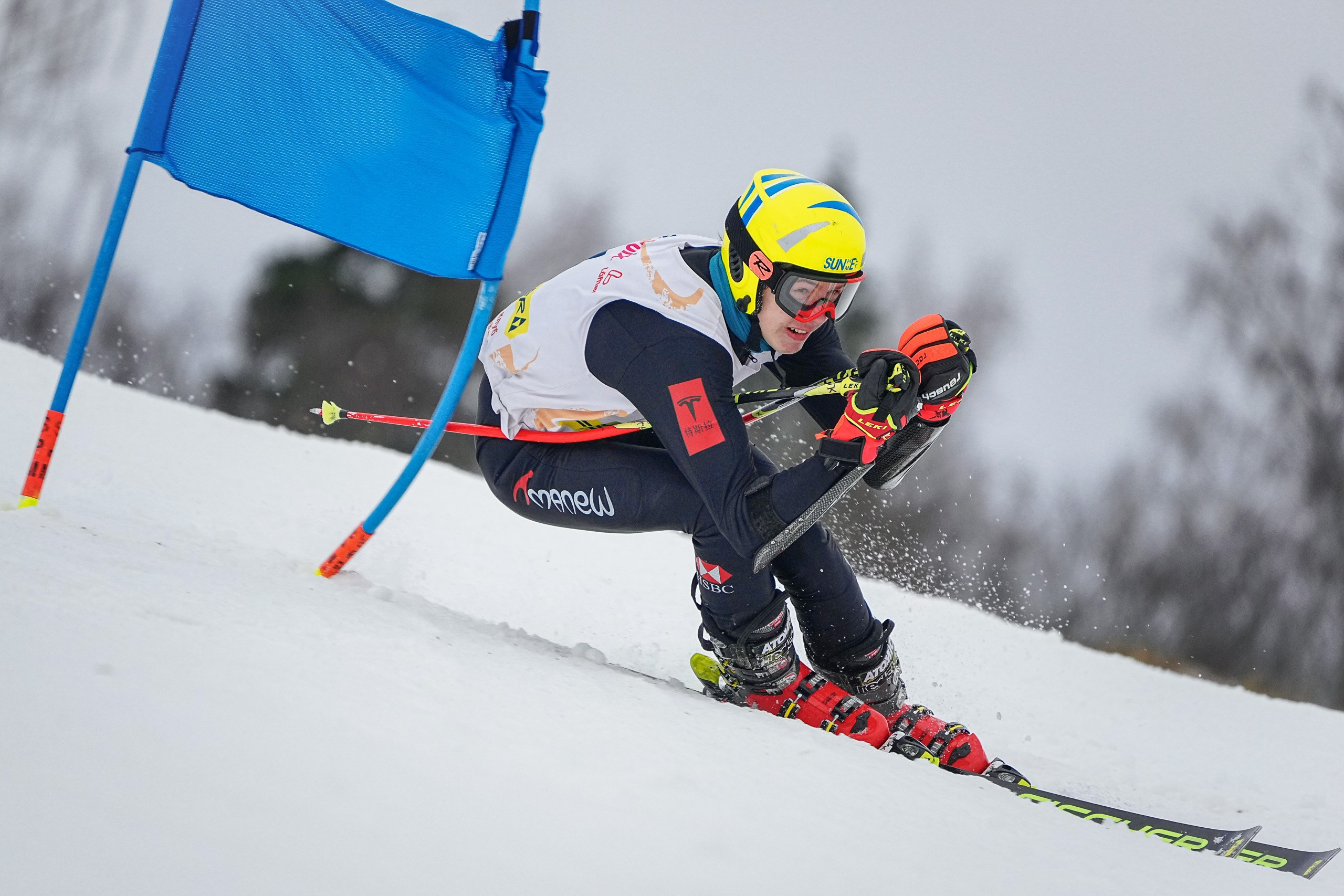 Горные лыжи. Первенство Московской области. Слалом-гигант. Шуколово