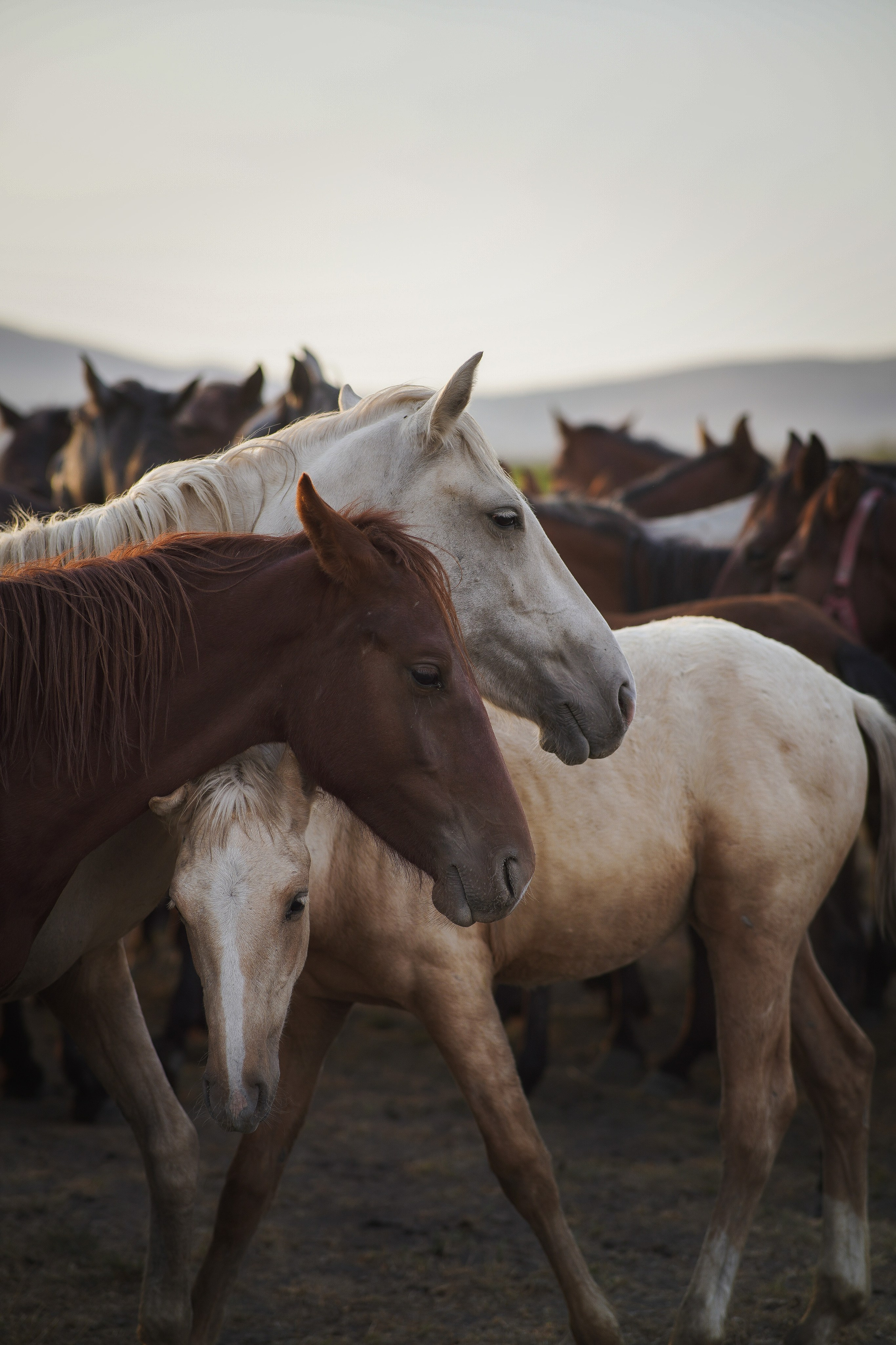 Каппадокия / Фото-тур