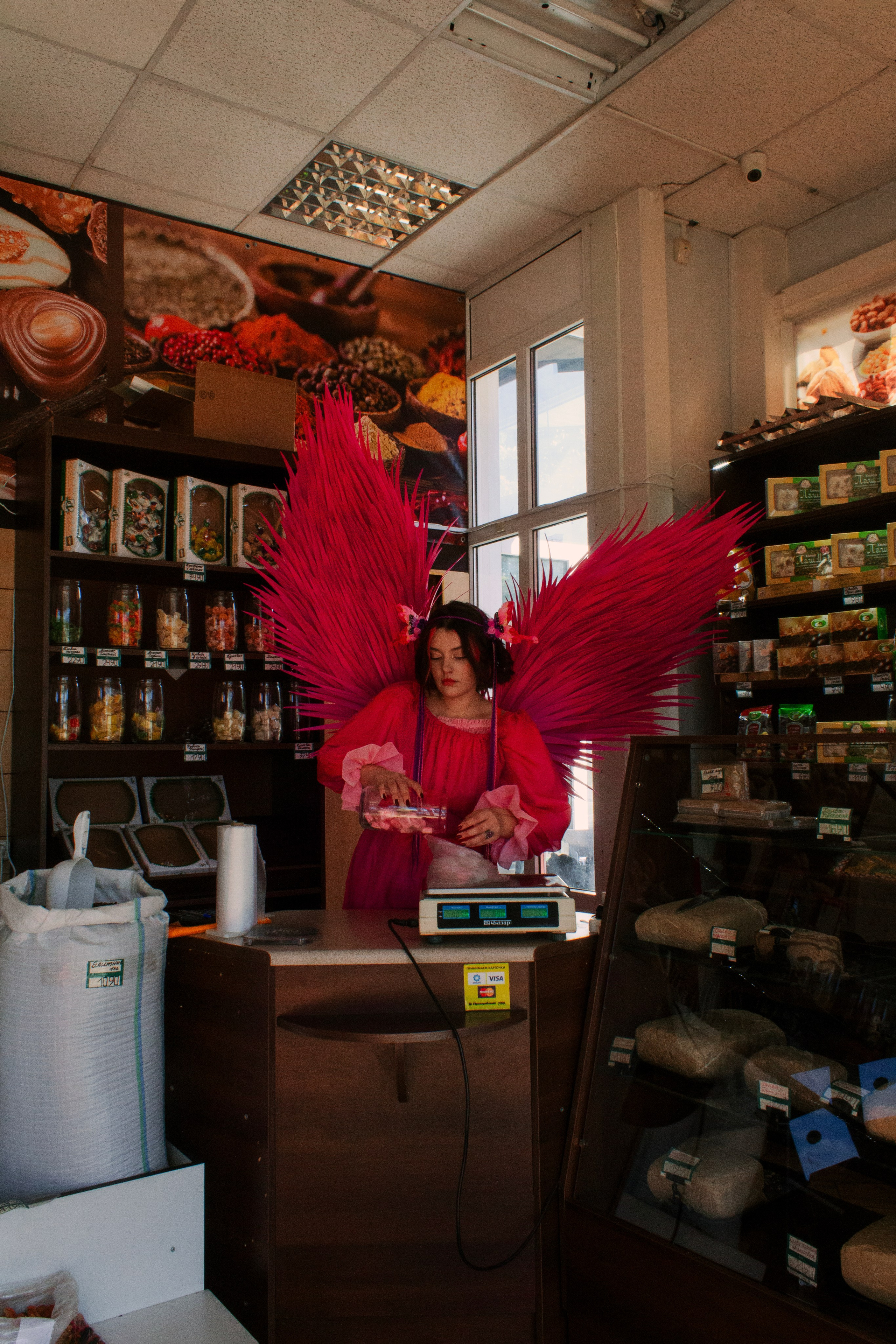 Земля под розовыми крыльями