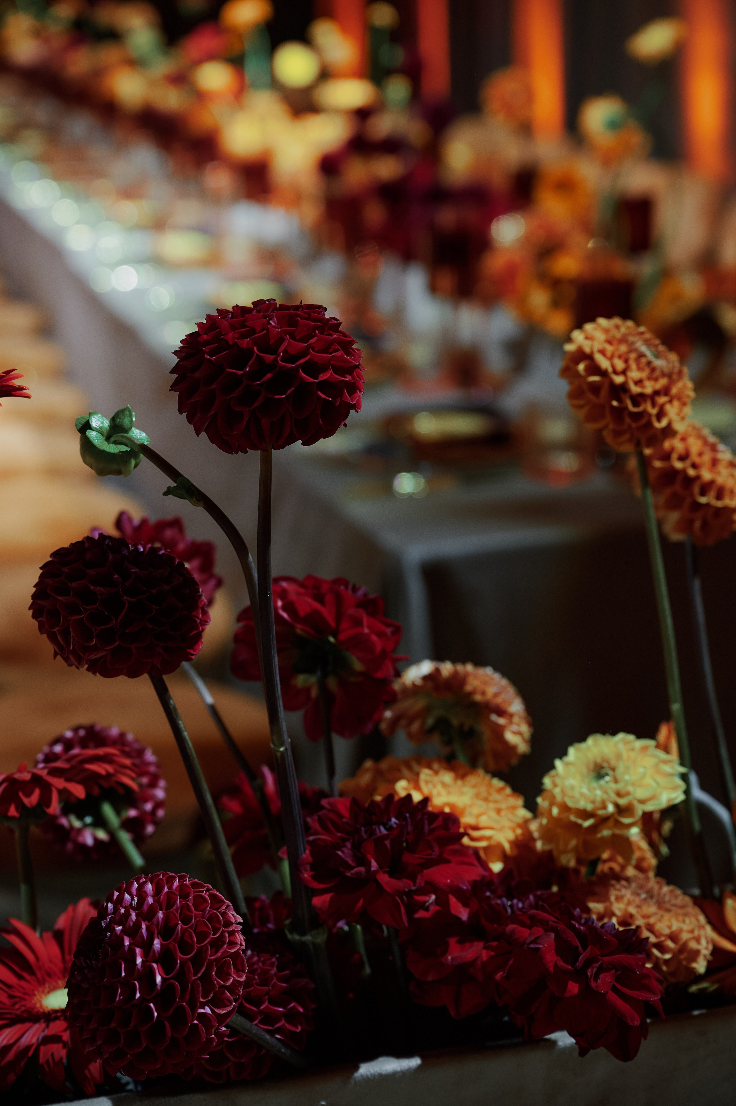 G&D. Свадебный и репортажный фотограф