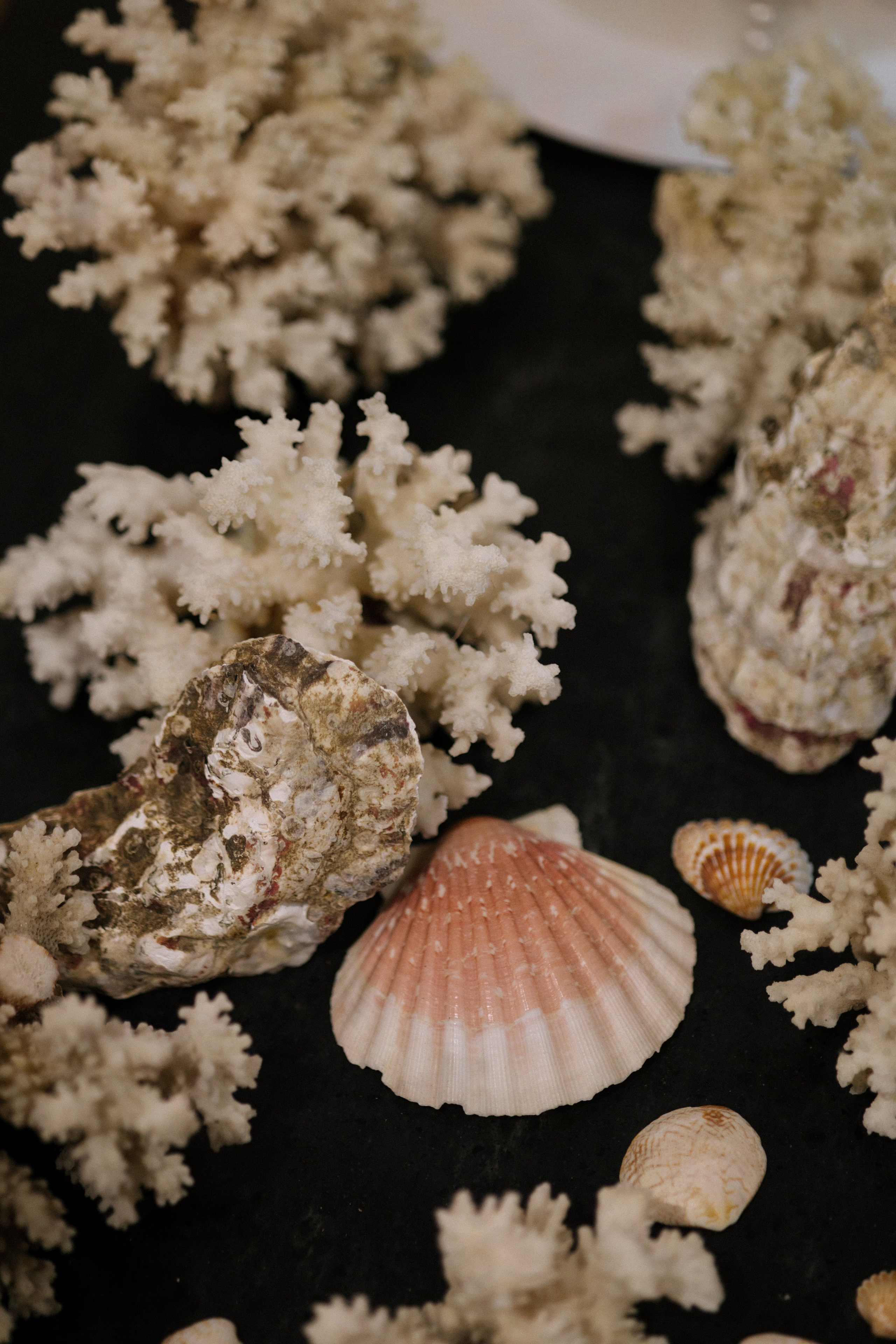 Александр и Екатерина. Главная