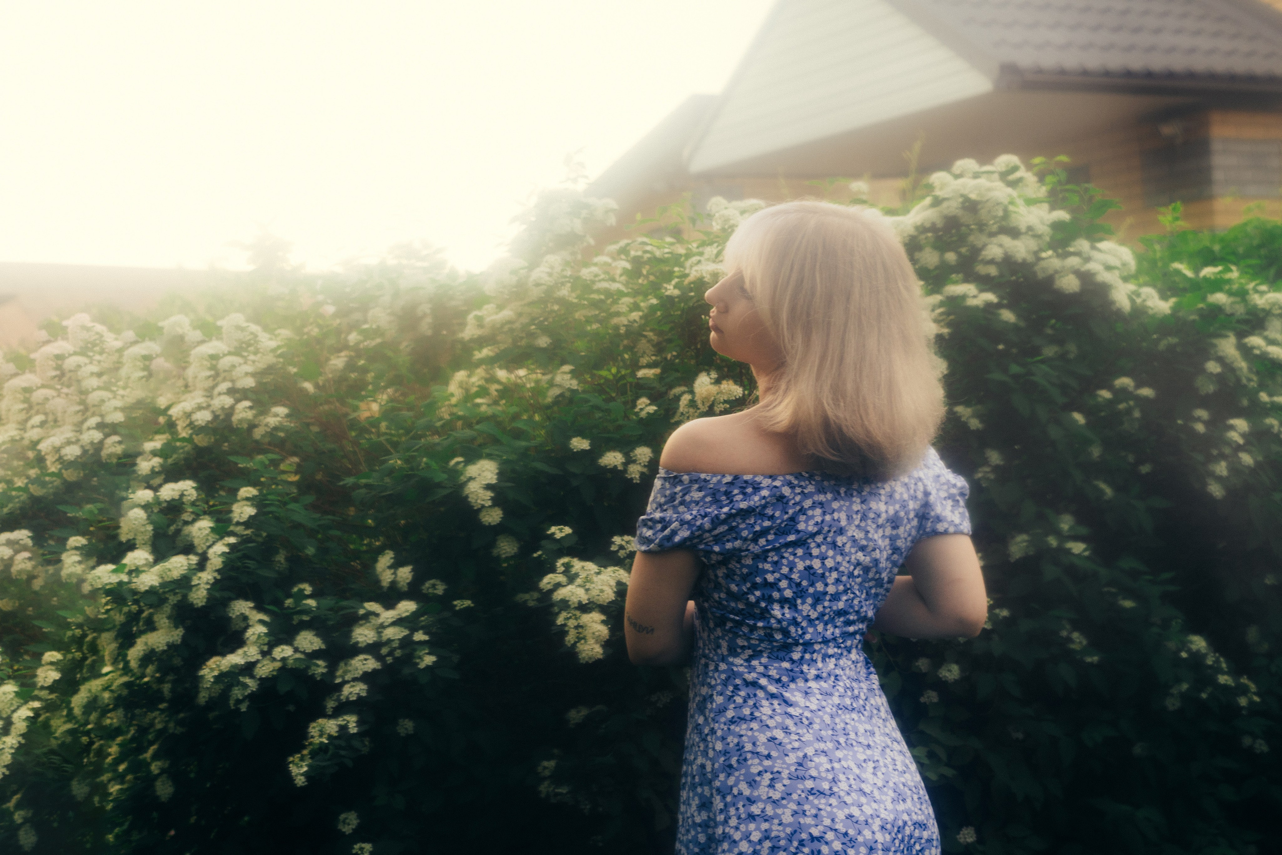 Anastes. Sun Betty — кинофотограф Элизабет