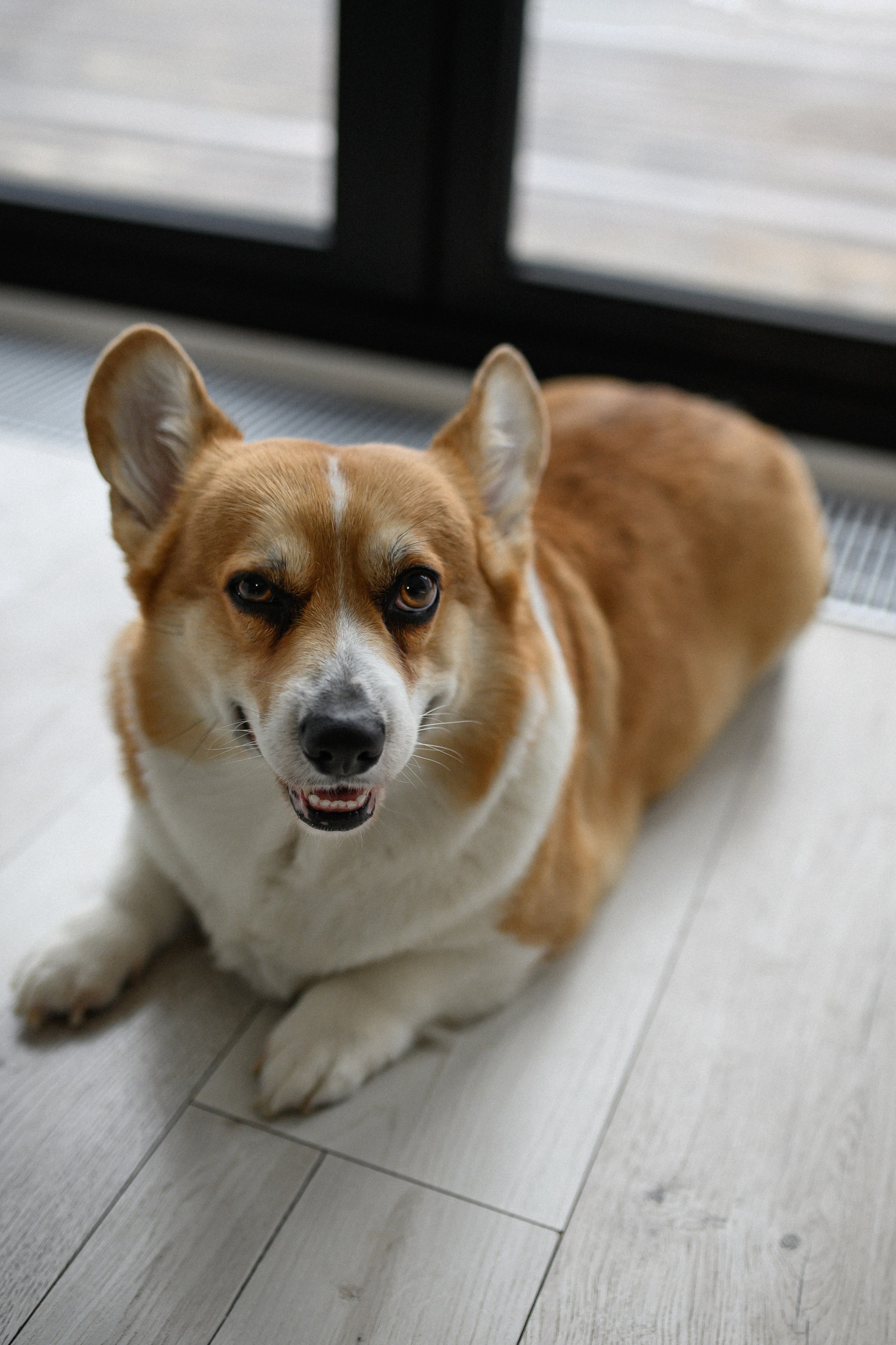 Юля, Леша, Майкл. Www.ostermiller.ru