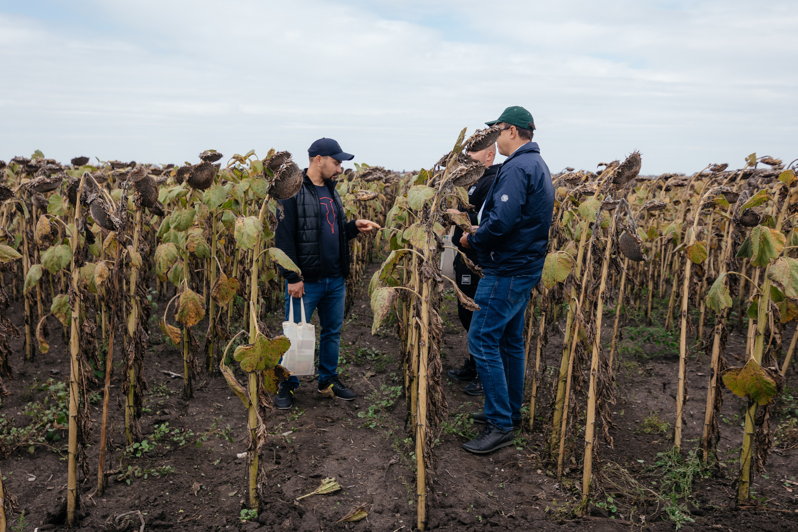 День поля. Фотограф Крохин Олег