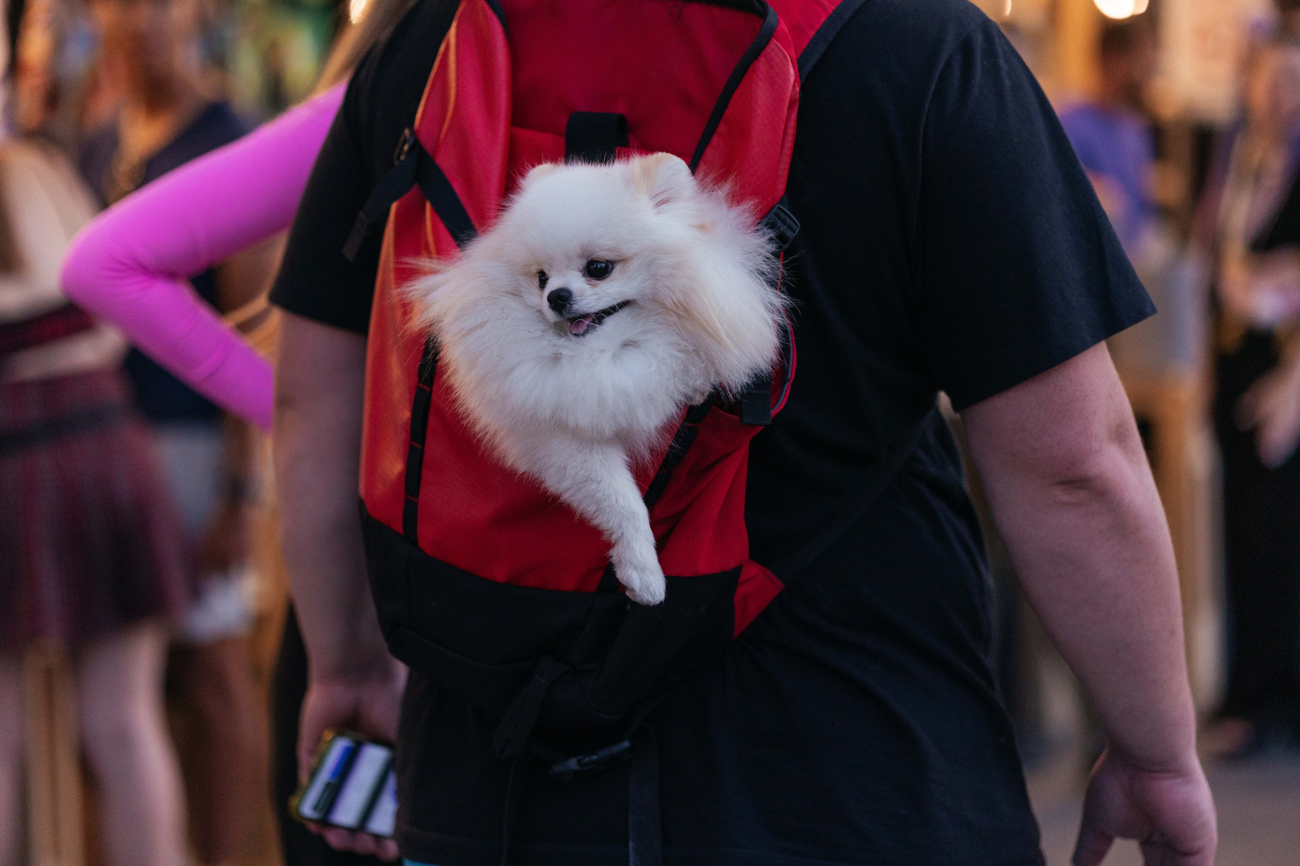 Ярмарка Омаркет. Фотограф Крохин Олег