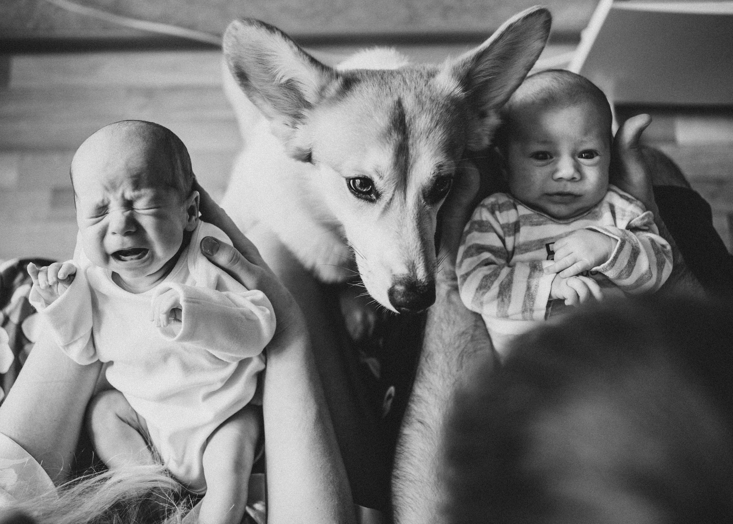 Домашняя съемка. Детский и семейный фотограф в Красноярске Настя Ярош