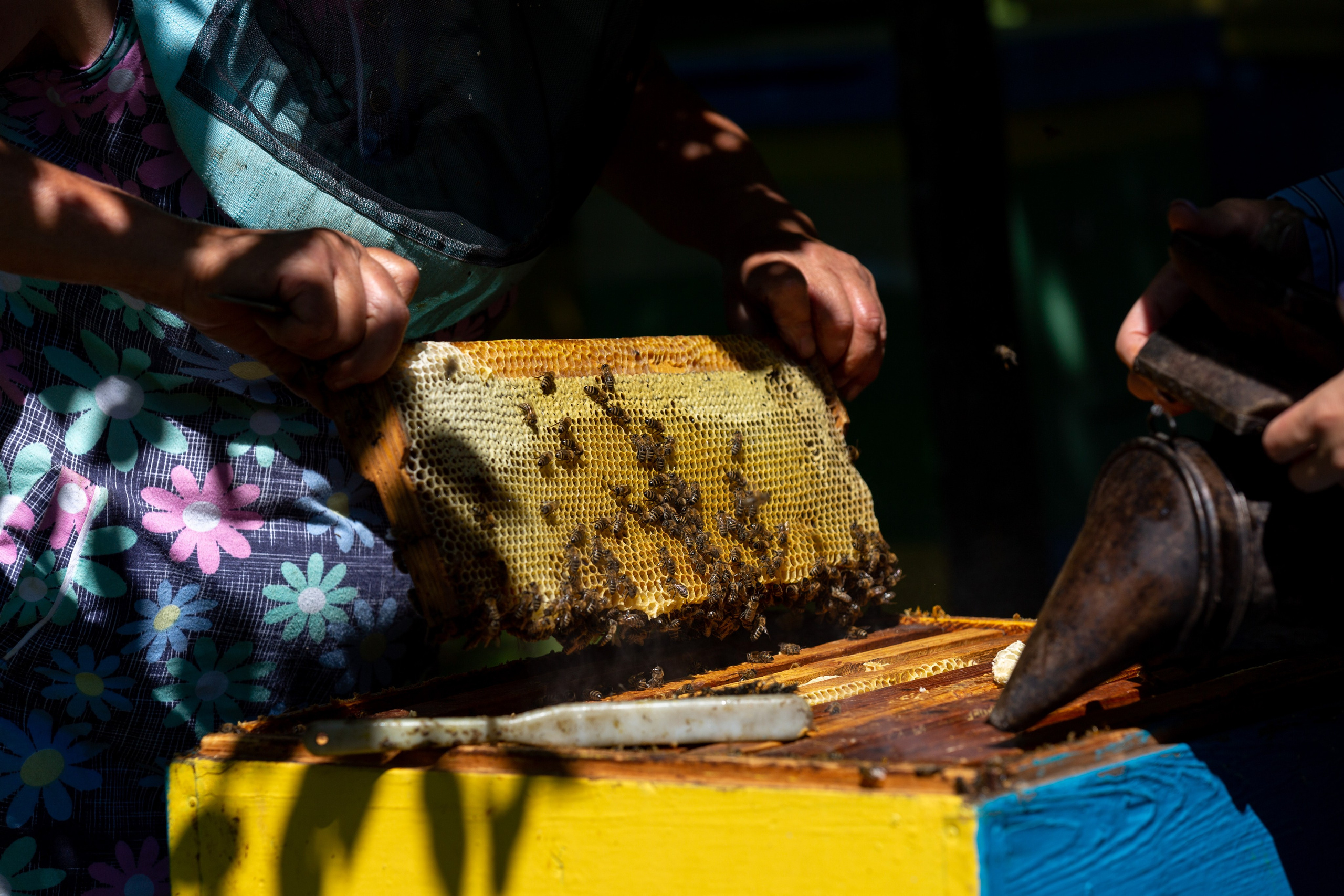 Профессия, блог. Фотограф Наталья Угрюмова, г. Москва