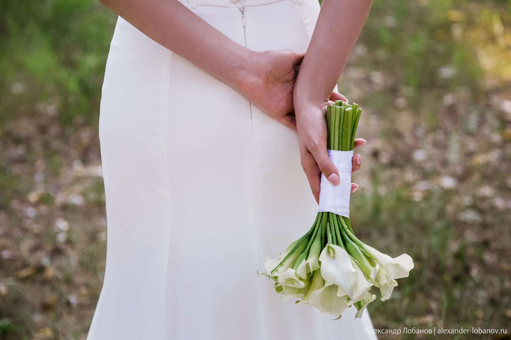 Свадьба Антона и Татьяны