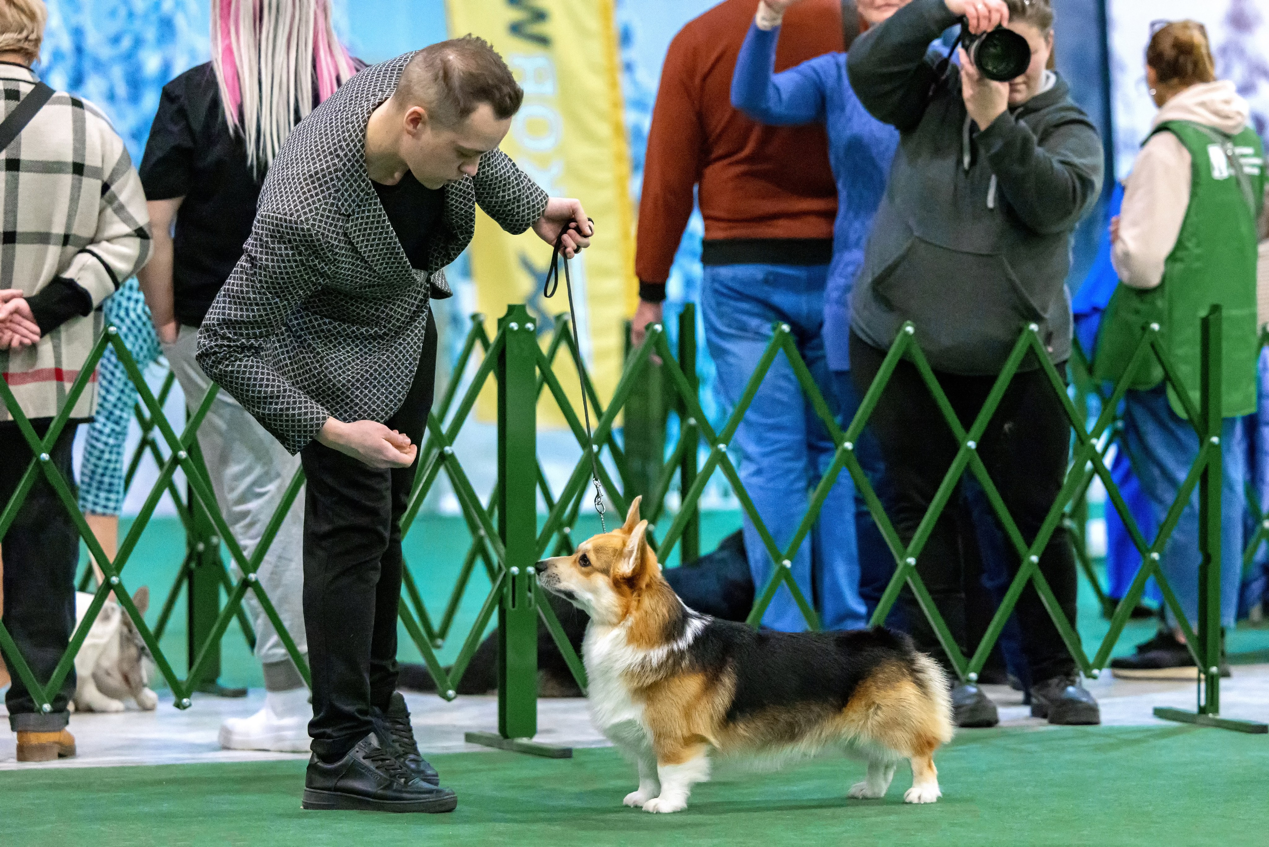 Крокус 3,9 и 10.12.2023. Фотограф-анималист Юлия Германика