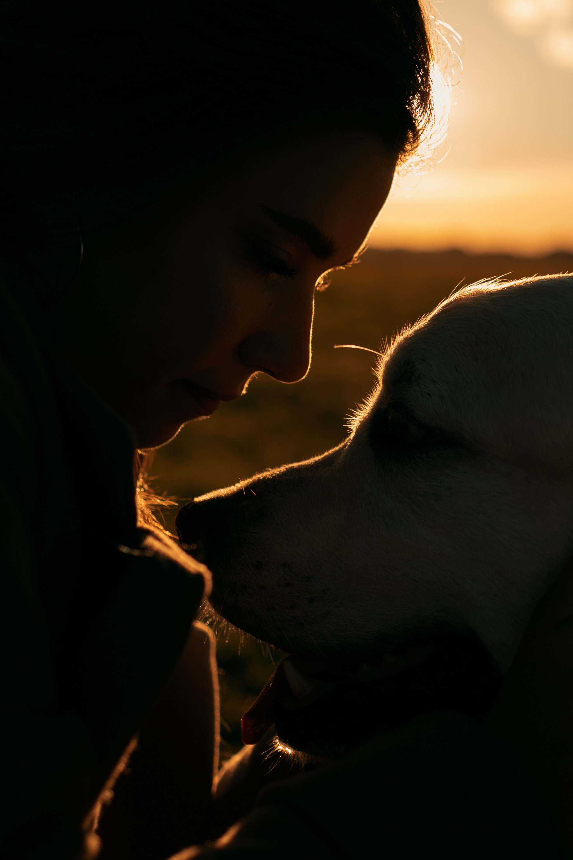 Лера и Скай. Фотограф — Анималист | Санкт-Петербург