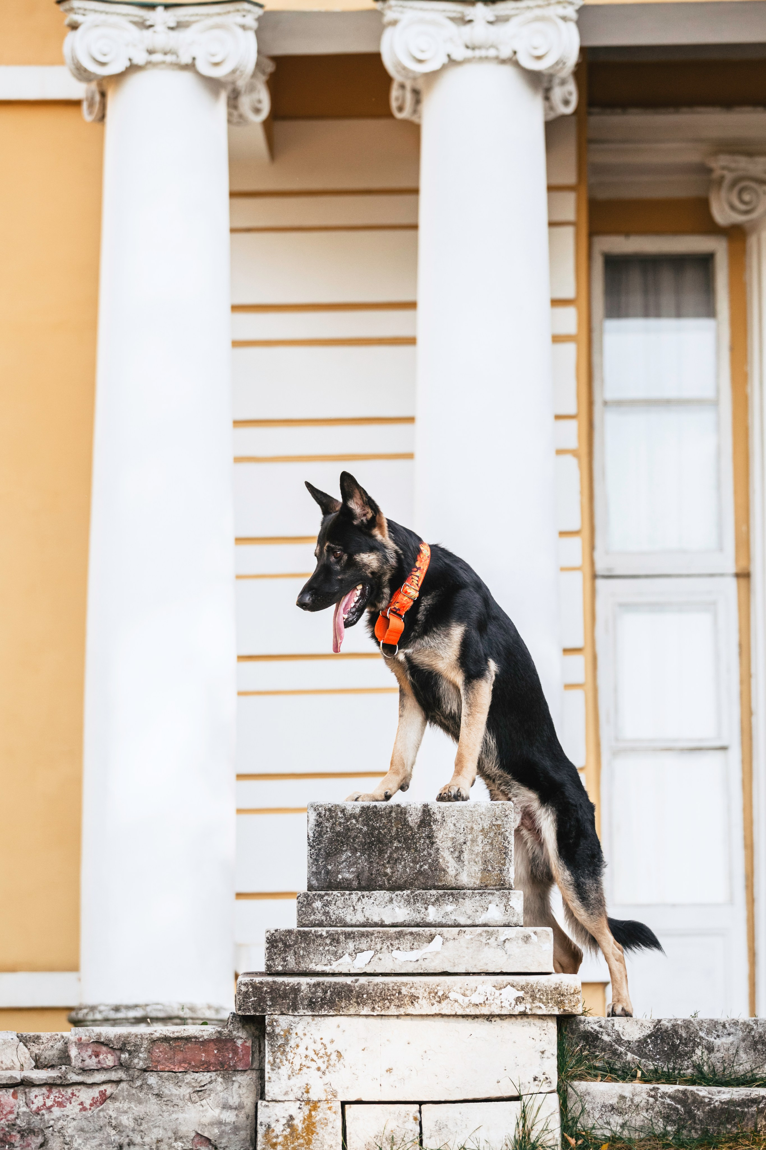 Илай. Фотограф-анималист Татьяна Степанова