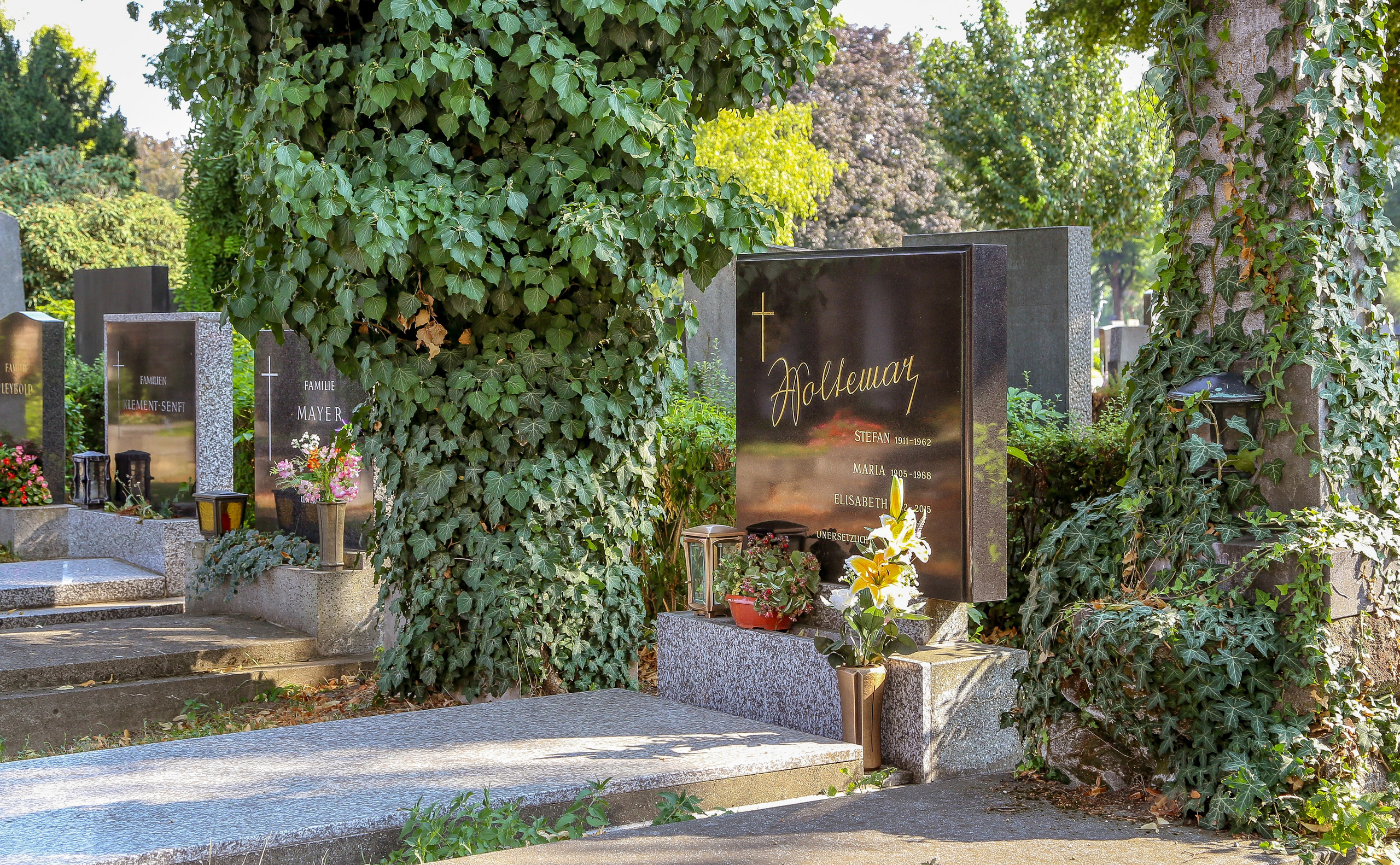 Австрия: Вена — Юденплатц и Центральной кладбище. Дарья Письменюк / Darya Leitstern — фотограф, музыкант, журналист, путешественник