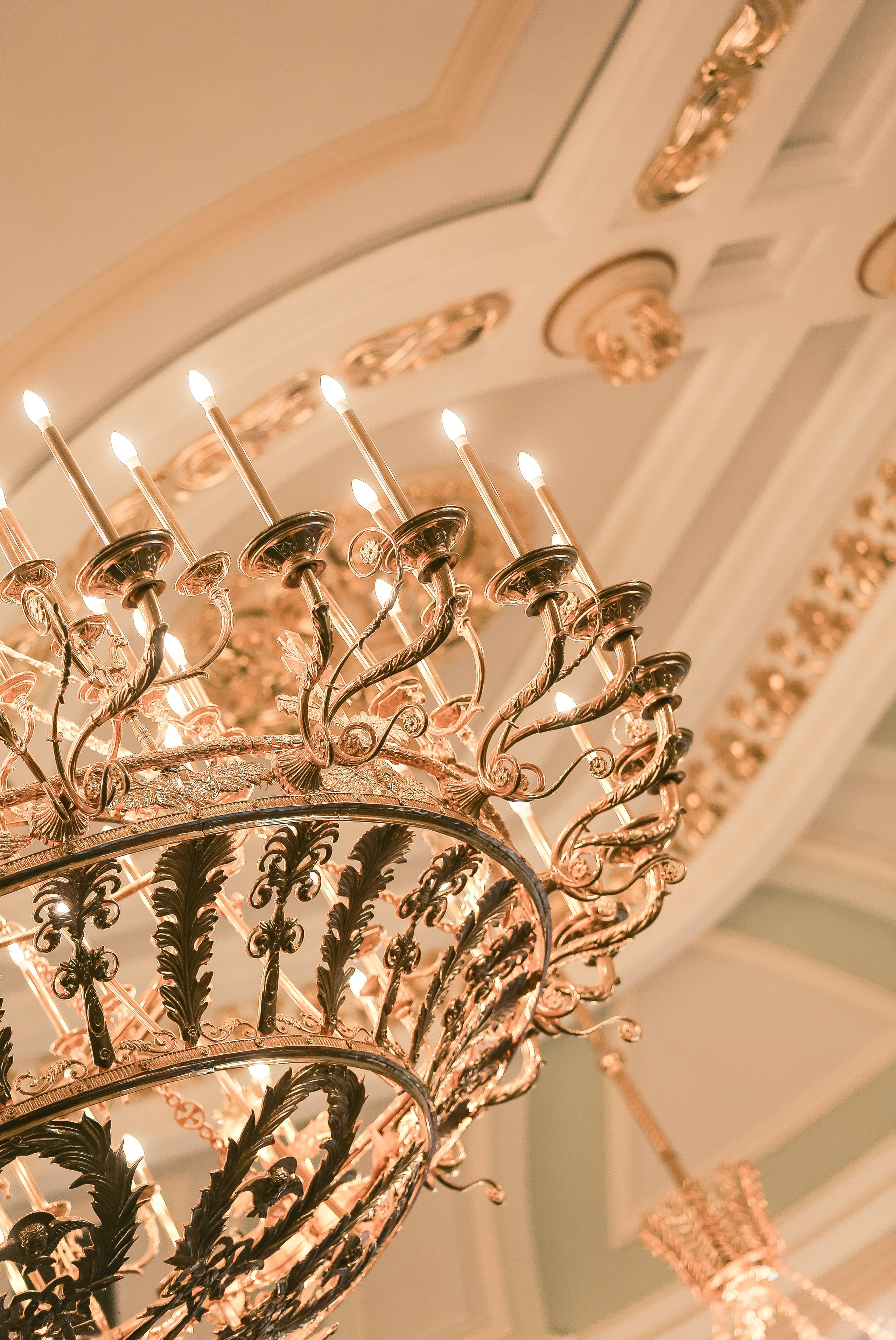 Путешествие мандолины. Дарья Письменюк / Darya Leitstern — фотограф, музыкант, журналист, путешественник