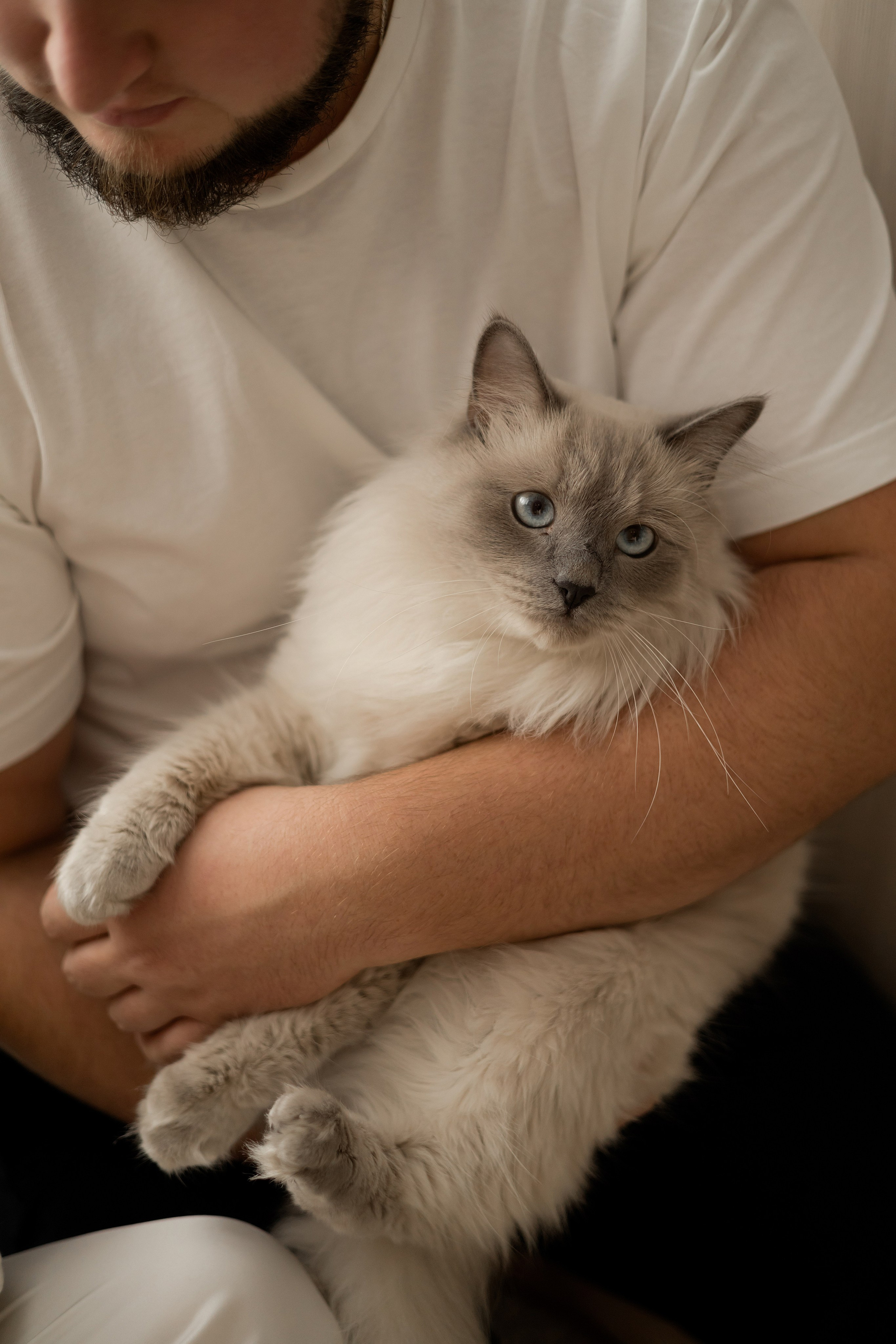 Полина, Коля и Саша. Свадебный фотограф в Пскове и Санкт-Петербурге | Анна Голикова