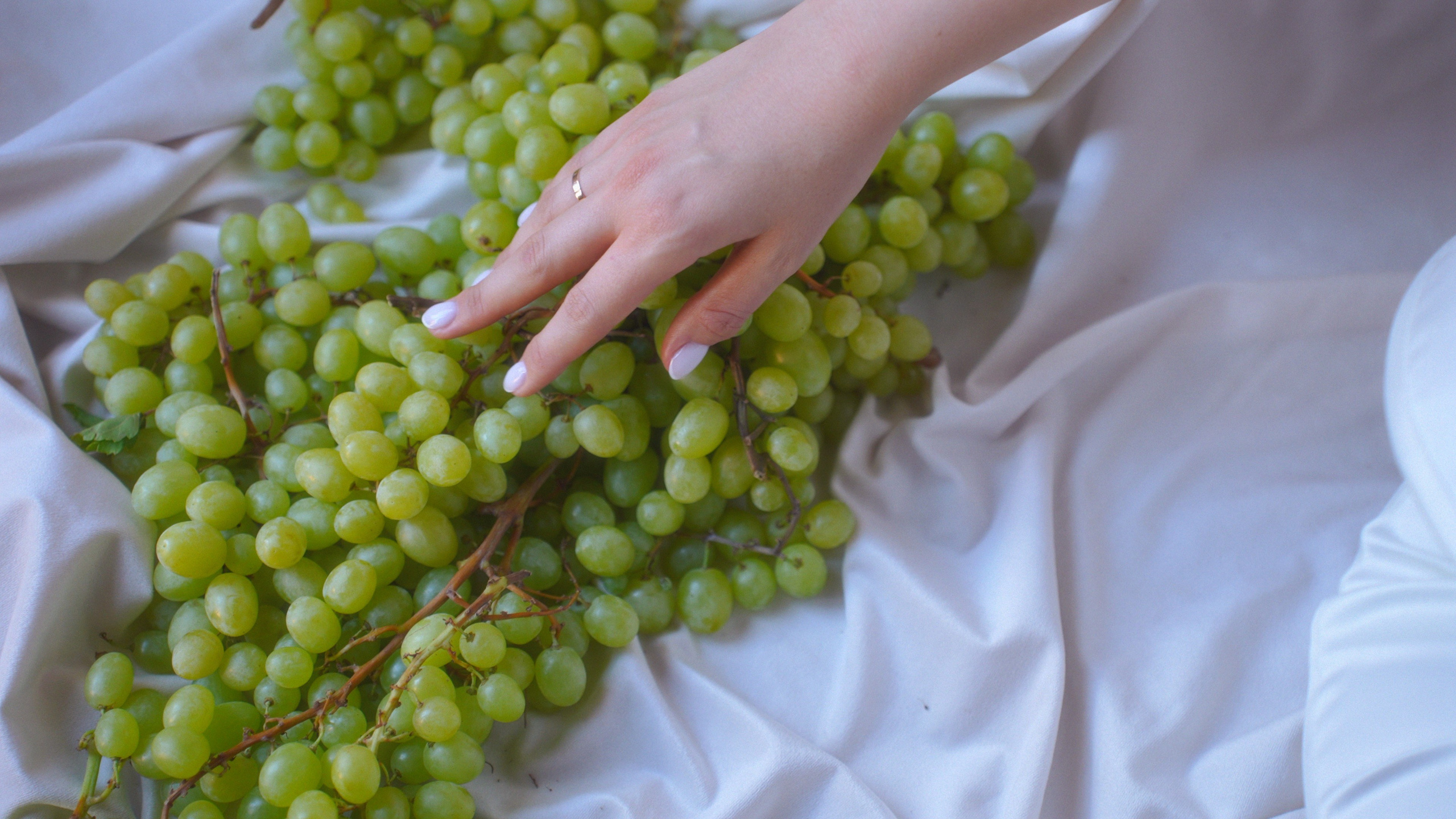 Сергей и Татьяна. Агата Акварель видеограф Сочи Краснодар