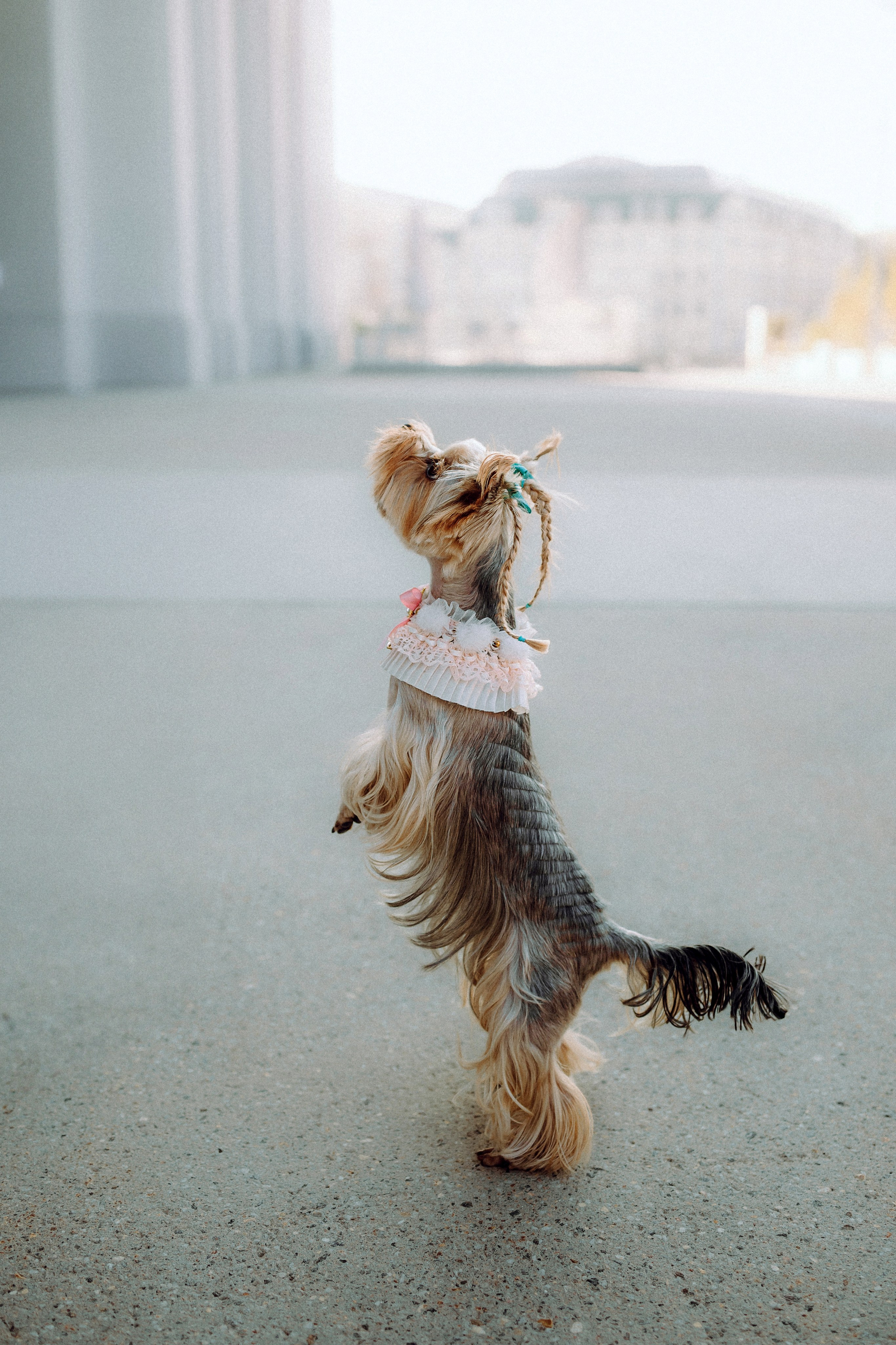 Дженни, Оливия и их семья