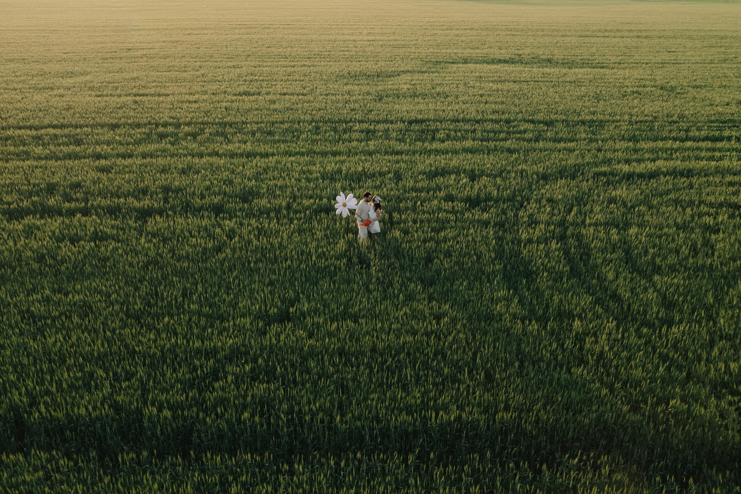 Ромашки. Свадебный фотограф Воронеж Москва СПБ
