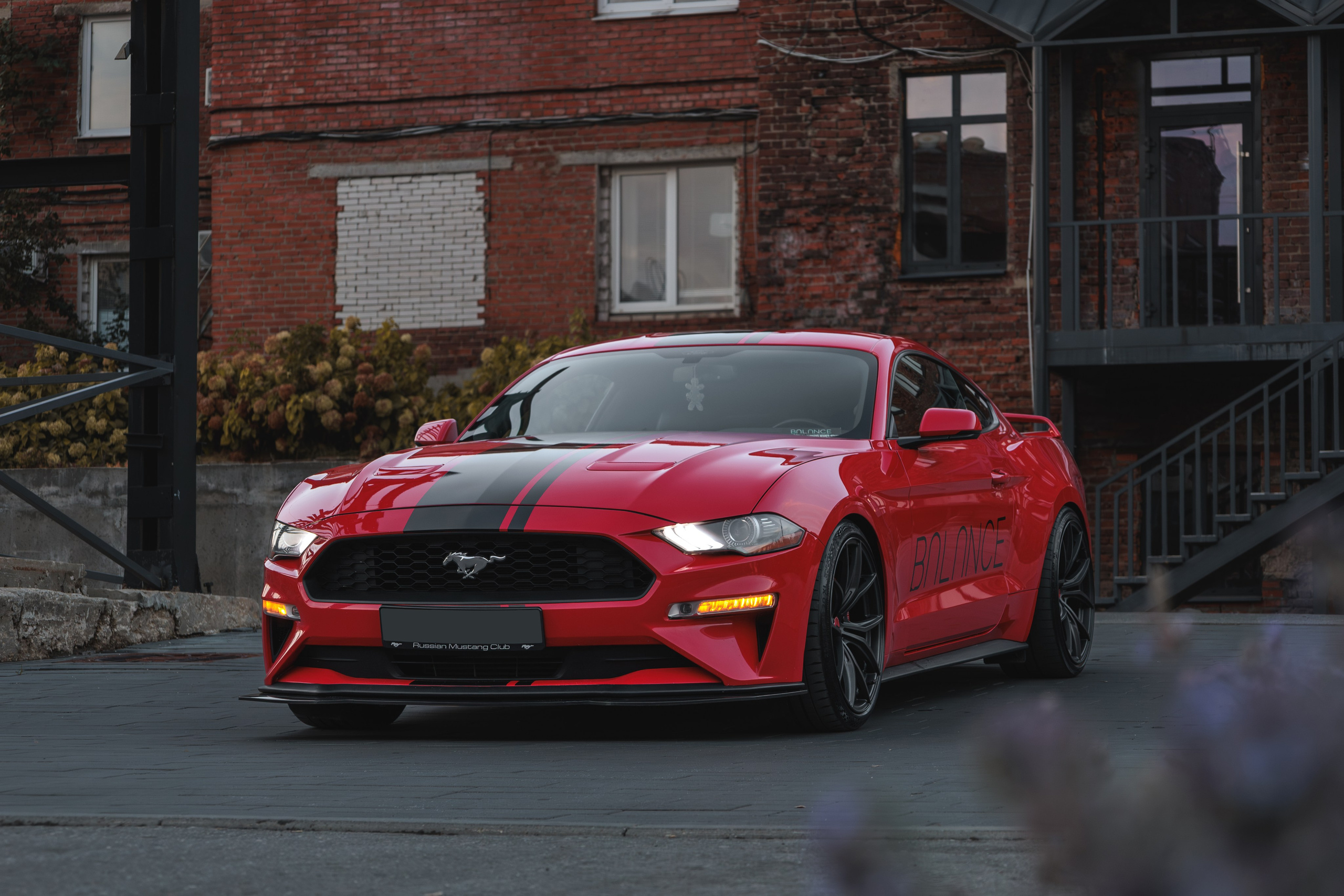 Mustang. Мелехов Дмитрий|Фотограф|Видеограф