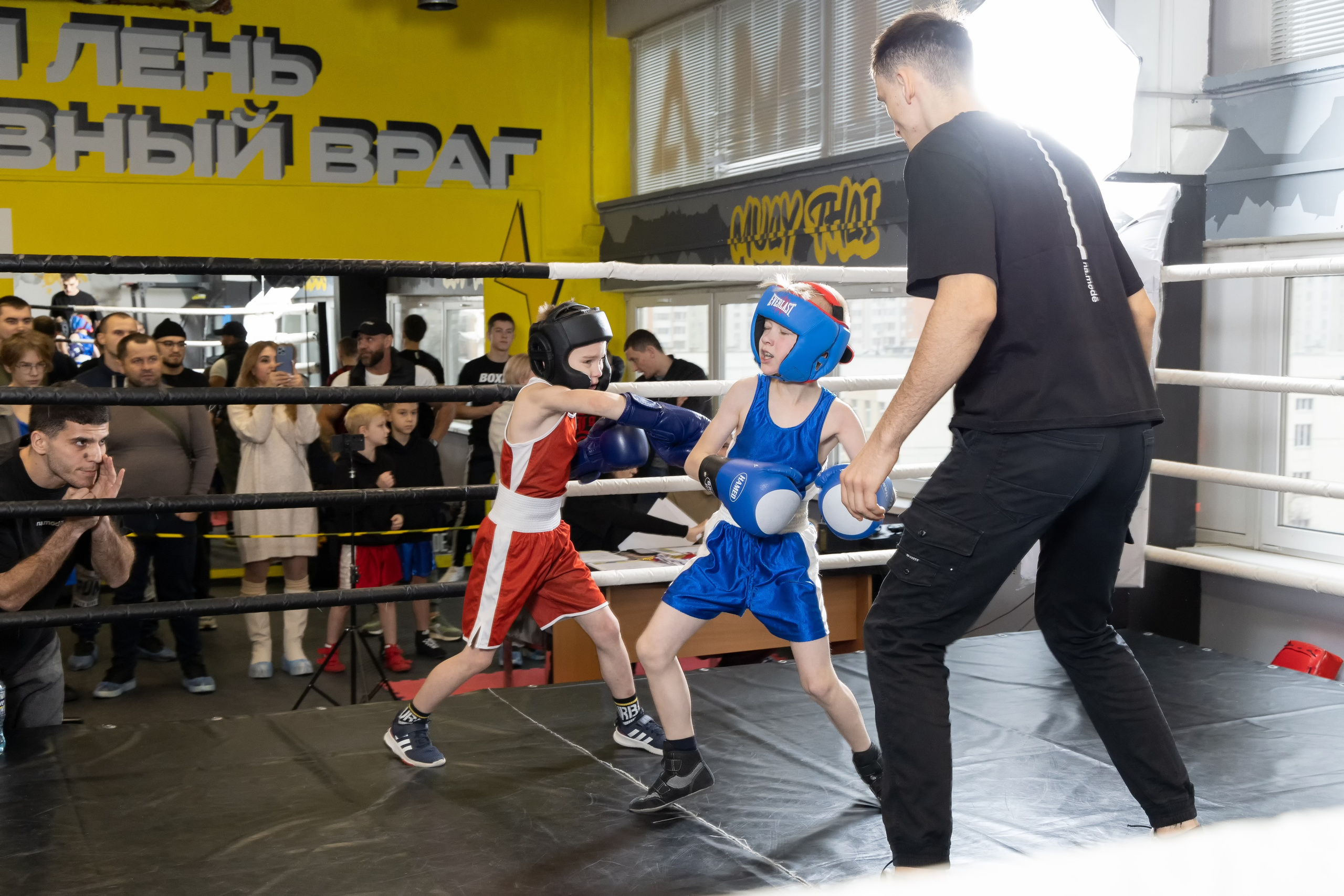 Бокс. Photomantis