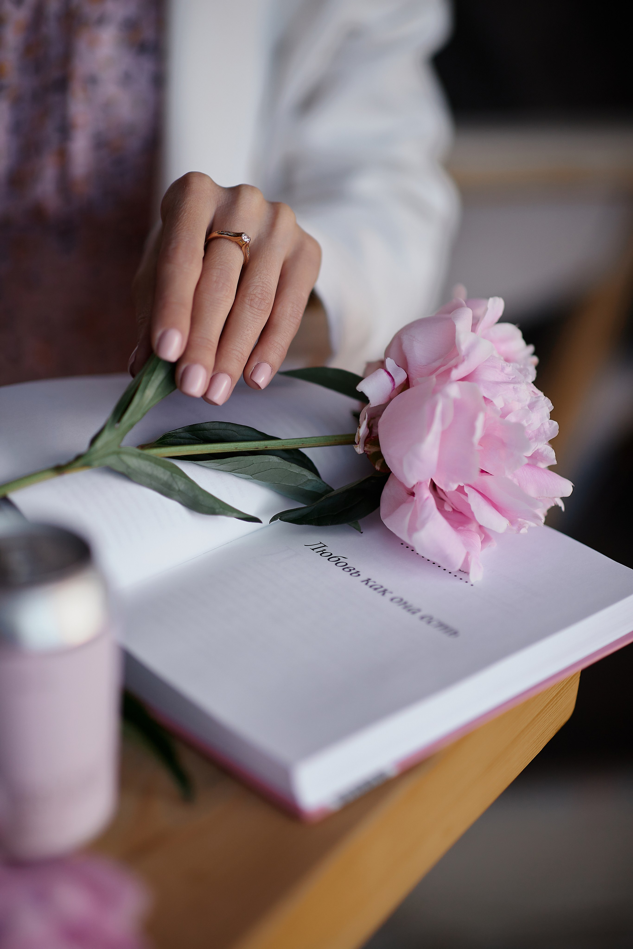 Фотосессия Анны Гребцовой ресторан Айвазовский. Свадебный и семейный фотограф в Сочи-Красной поляне Ларионова Анна