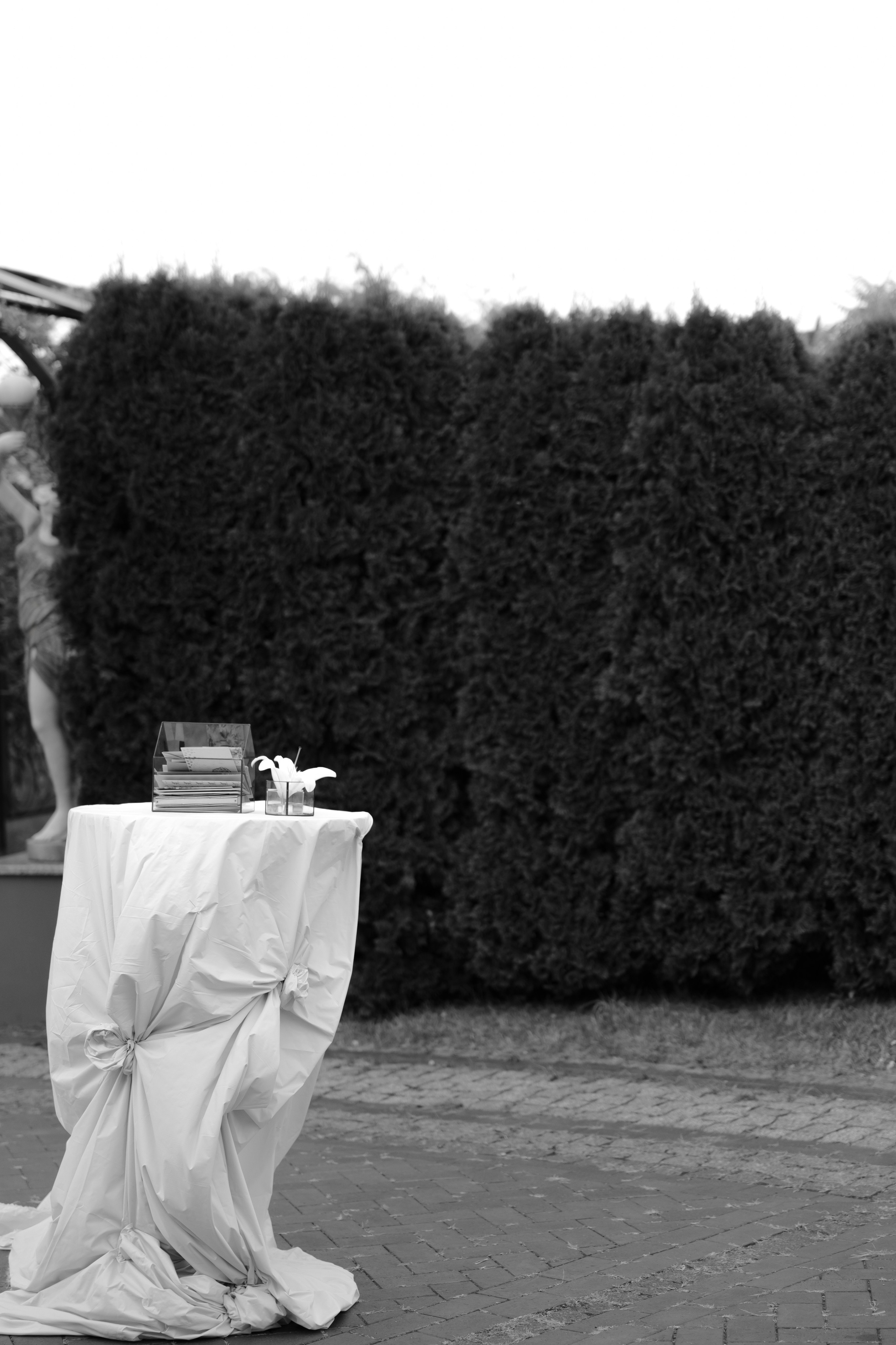 Дмитрий и Дианa. Свадебный фотограф Анна Бабахина