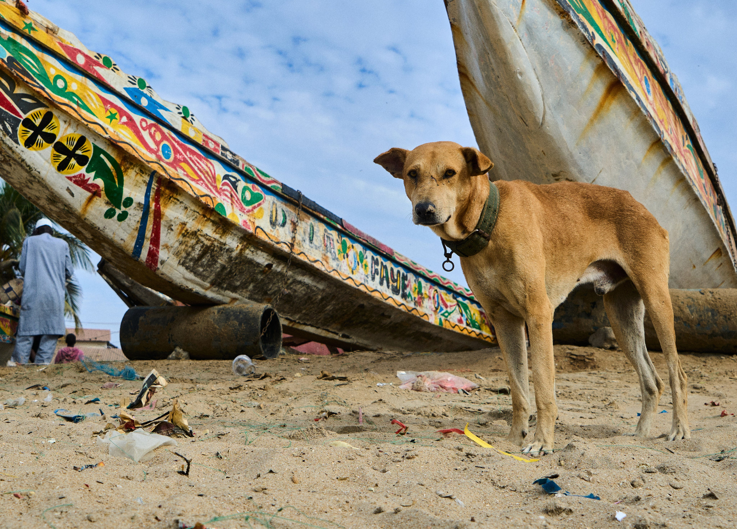 Guinea-Bissau. See the moment and catche. commercial and reportage