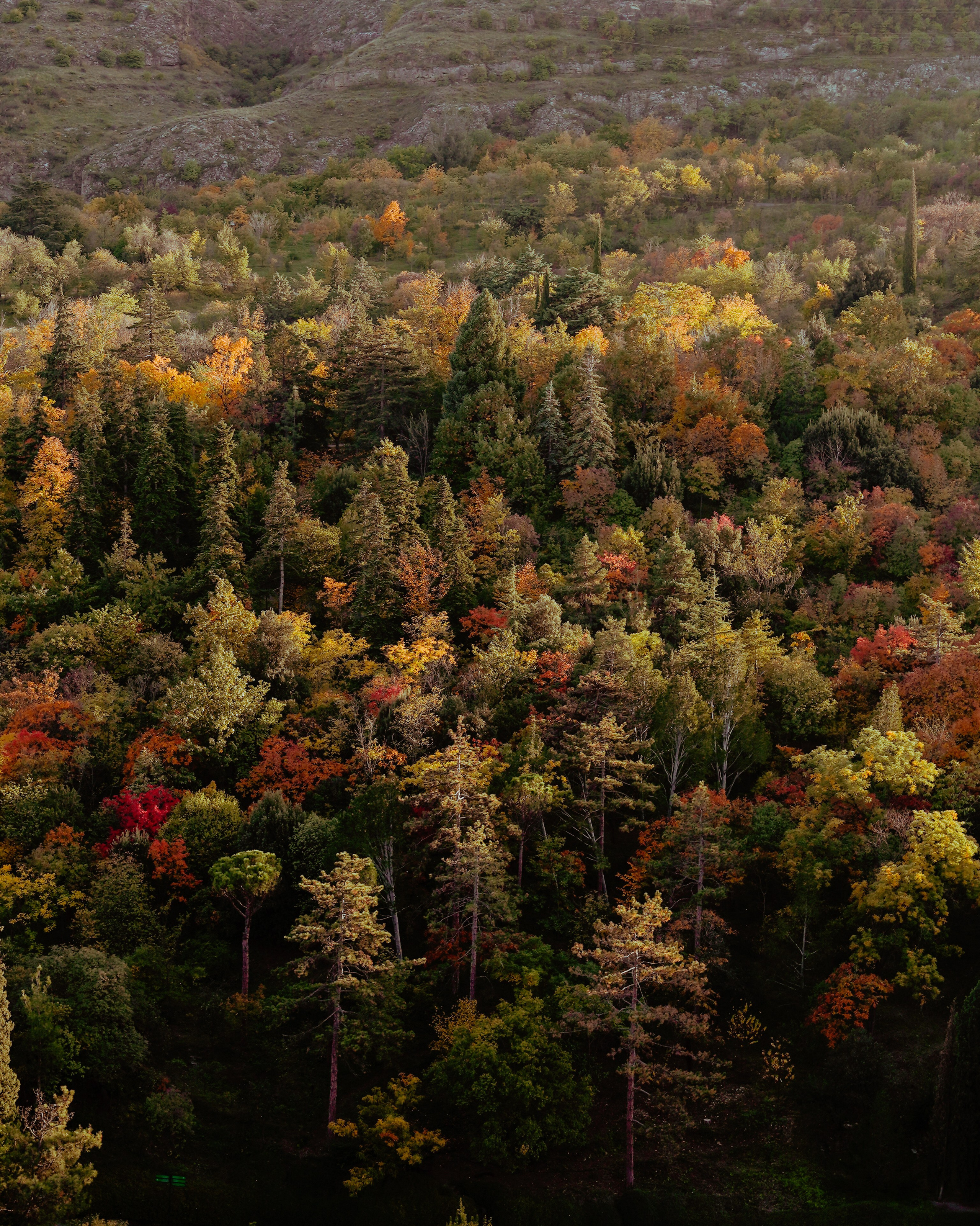 СЕРГЕЙ | БОТАНИЧЕСКИЙ САД ТБИЛИСИ. Photographer Barcelona