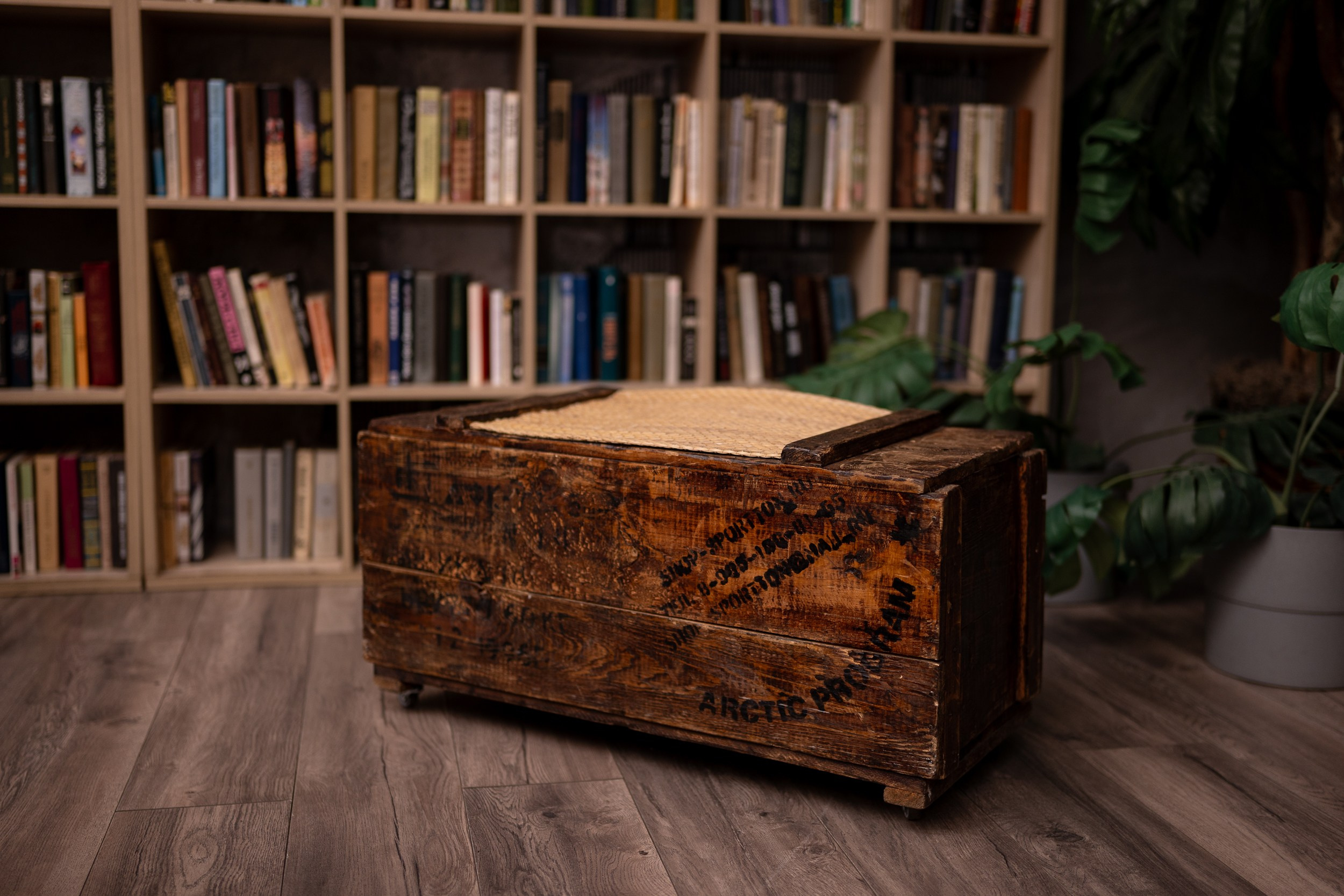 Альпы. Фотостудия Тироль. Москва