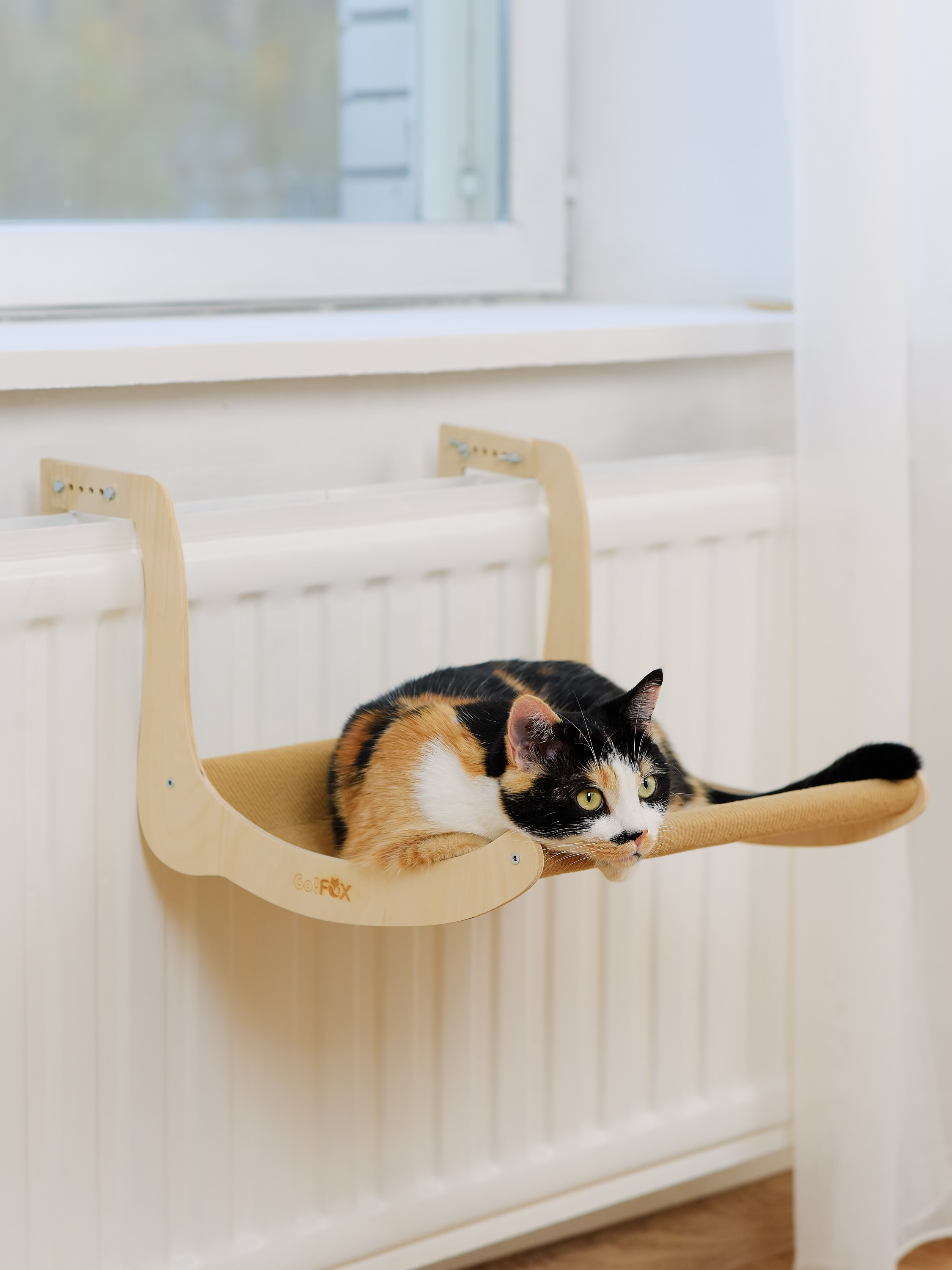 Товары для животных. Предметный фотограф, инфографика и видео в Санкт-Петербурге