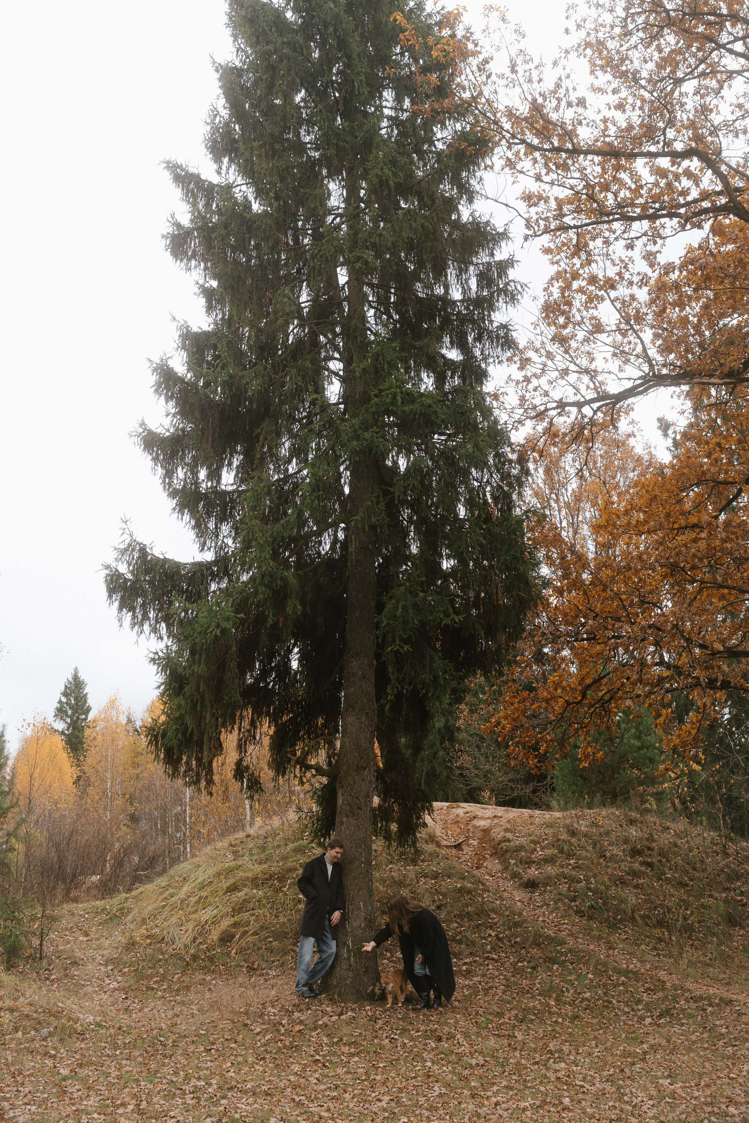 Леша + Лера. Семейный и детский фотограф Юлия Шох