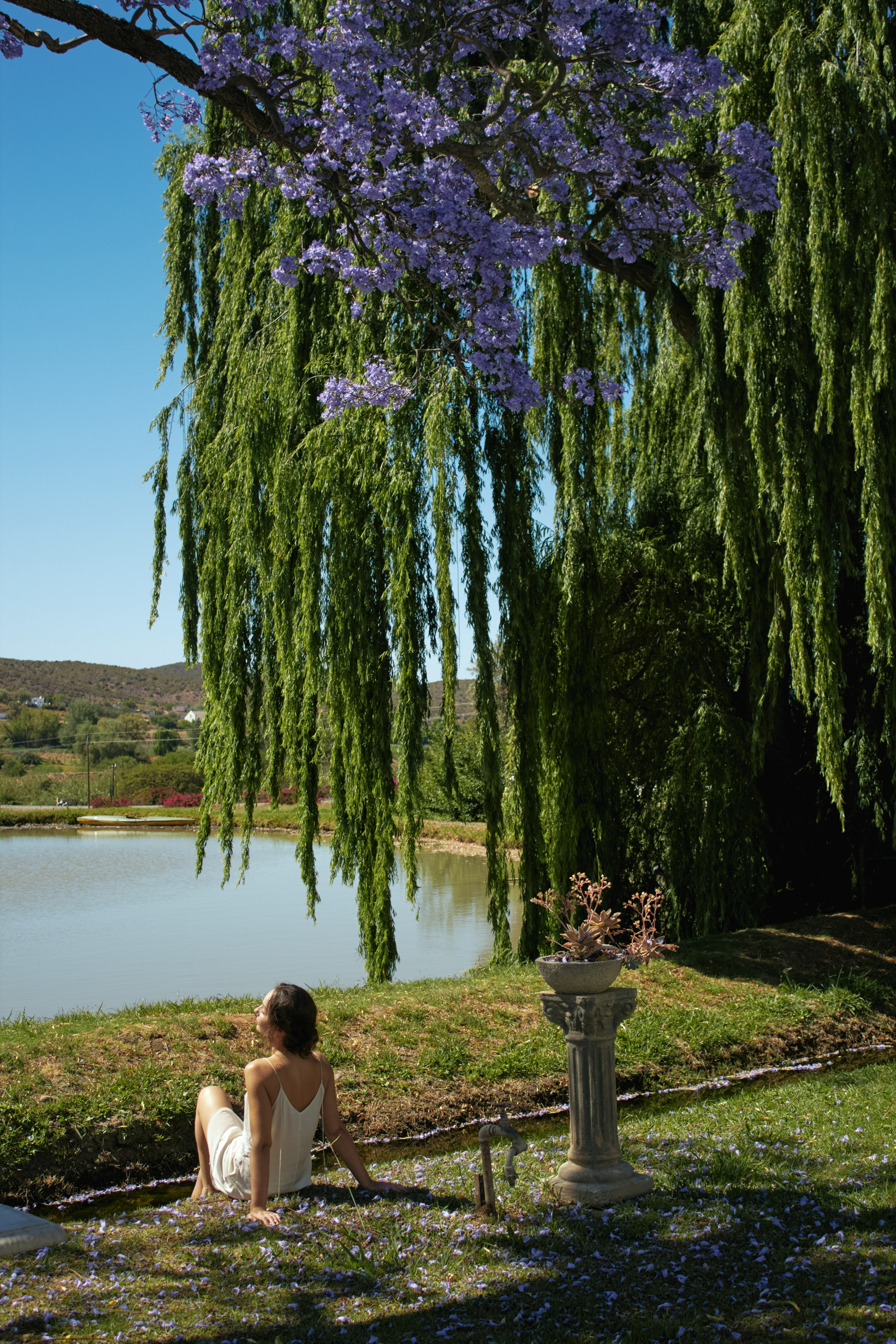 ЮАР. Профессиональный Фотограф во Владимире, в Москве и в Суздале — Полина Романычева
