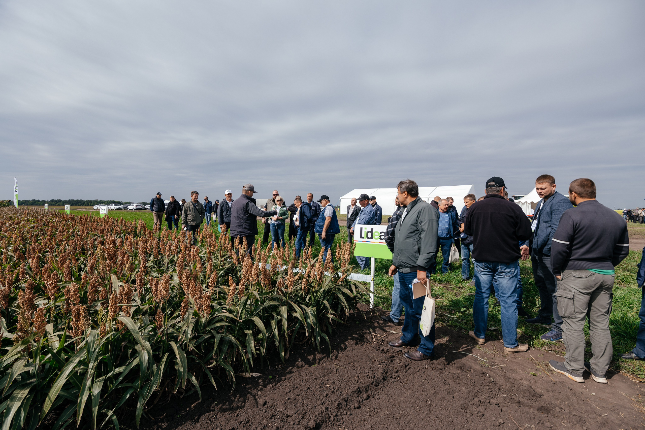 День поля. Фотограф Крохин Олег