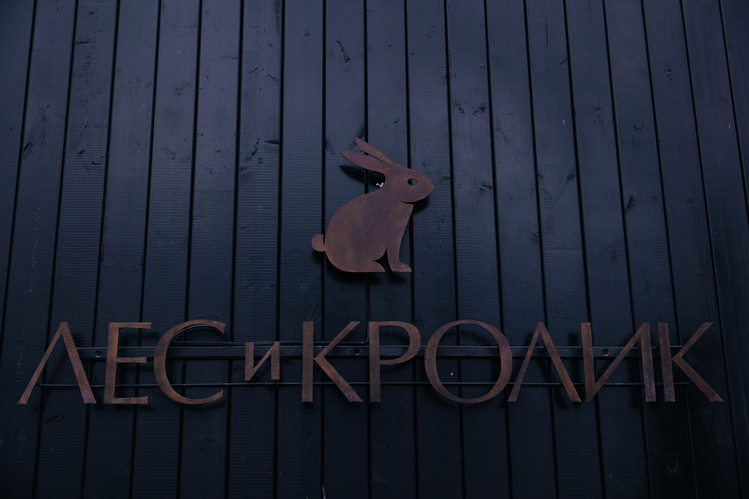 Доброгост Новый Год. Фотограф Крохин Олег