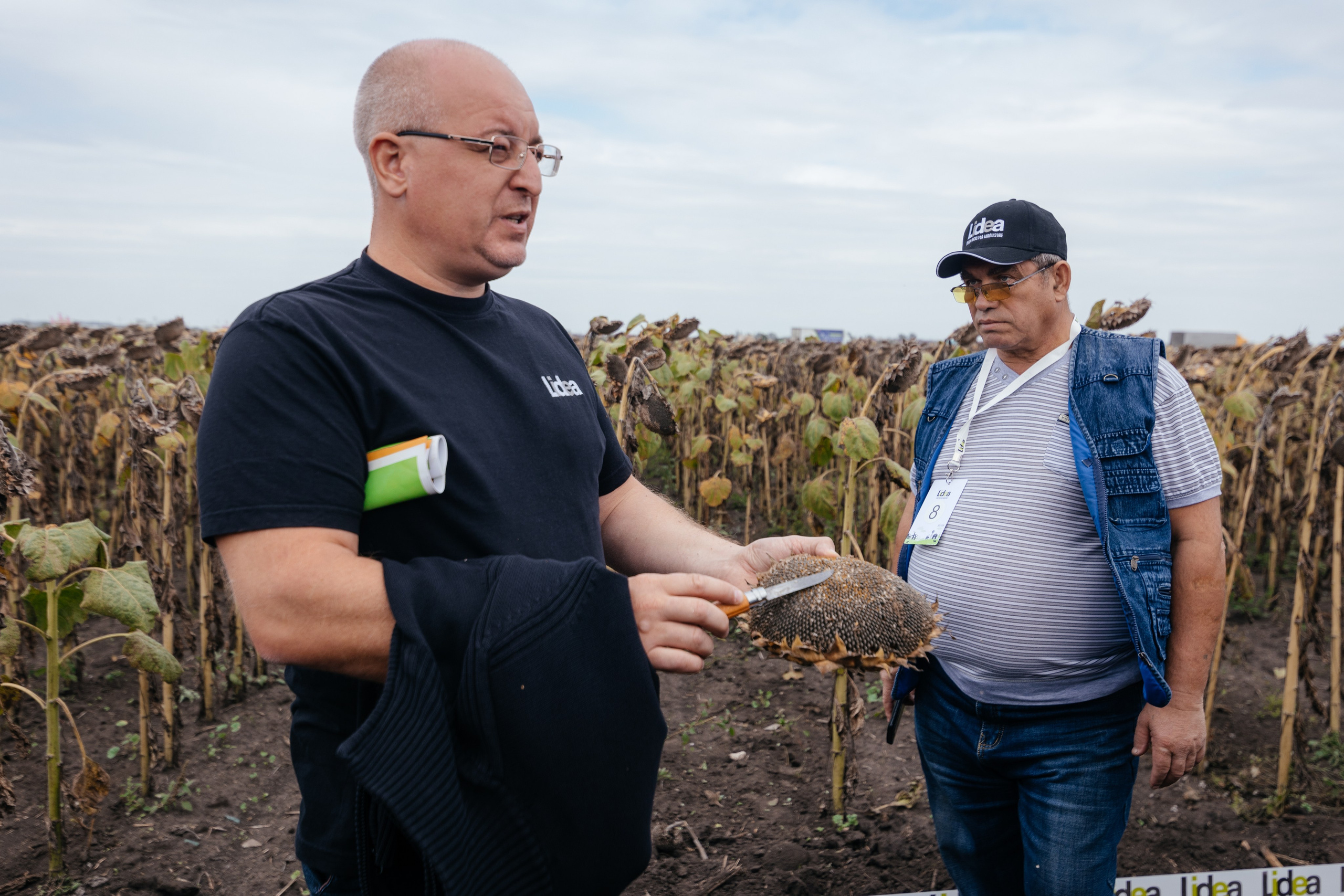 День поля. Фотограф Крохин Олег