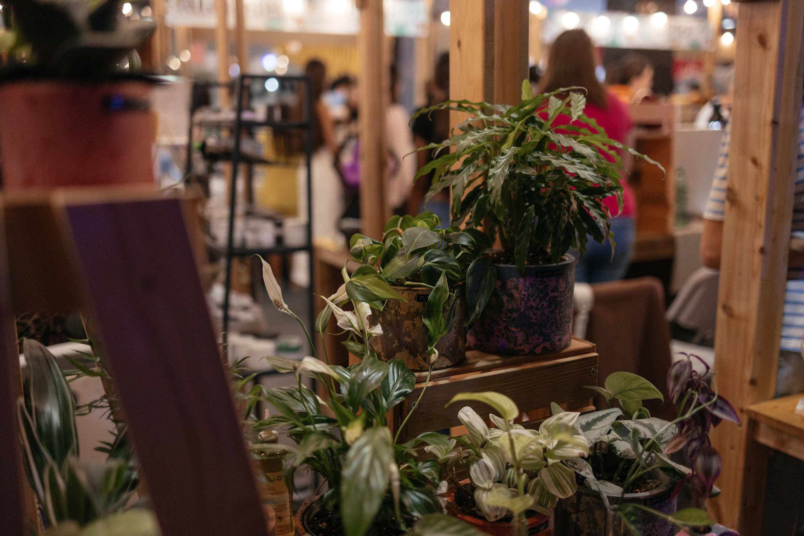 Ярмарка Омаркет. Фотограф Крохин Олег