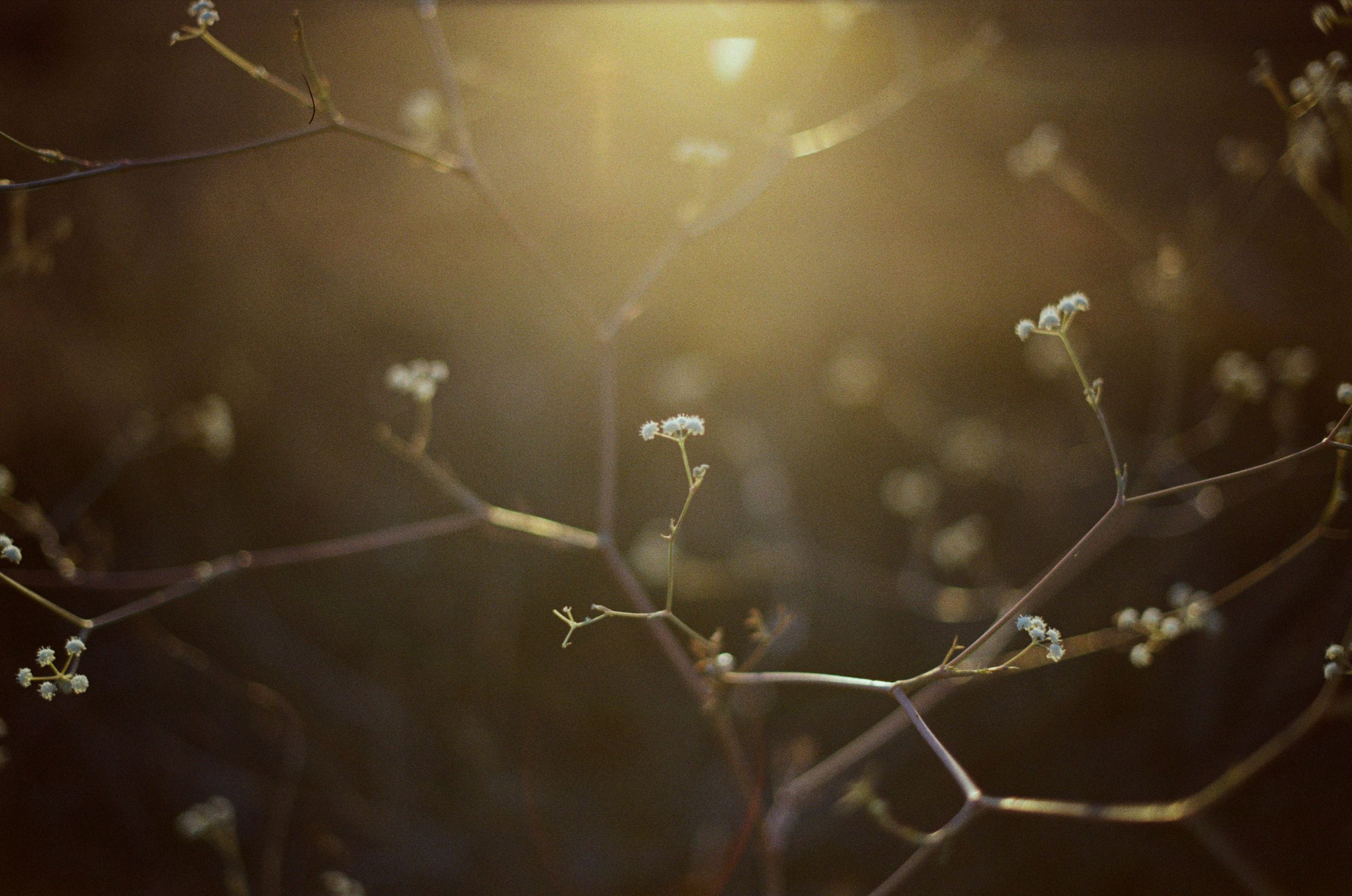Lovesong // ukraine, crimea. EVER EXPOSED
