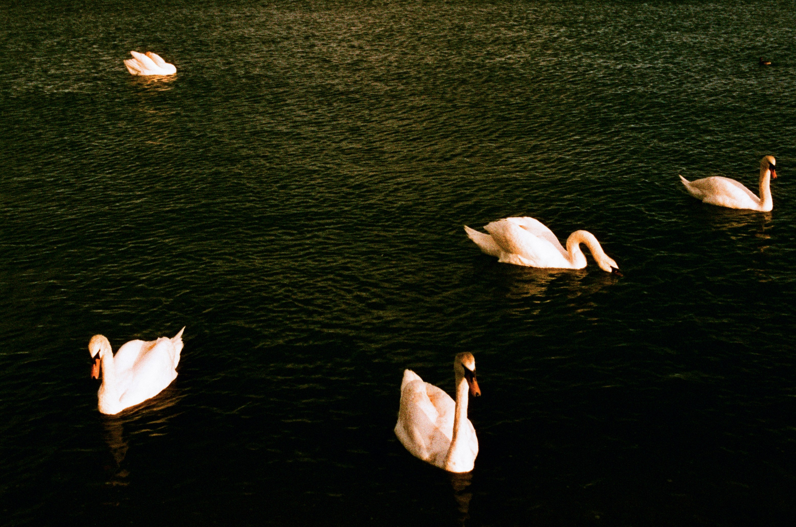 Press enter to exit // ukraine, crimea II. EVER EXPOSED