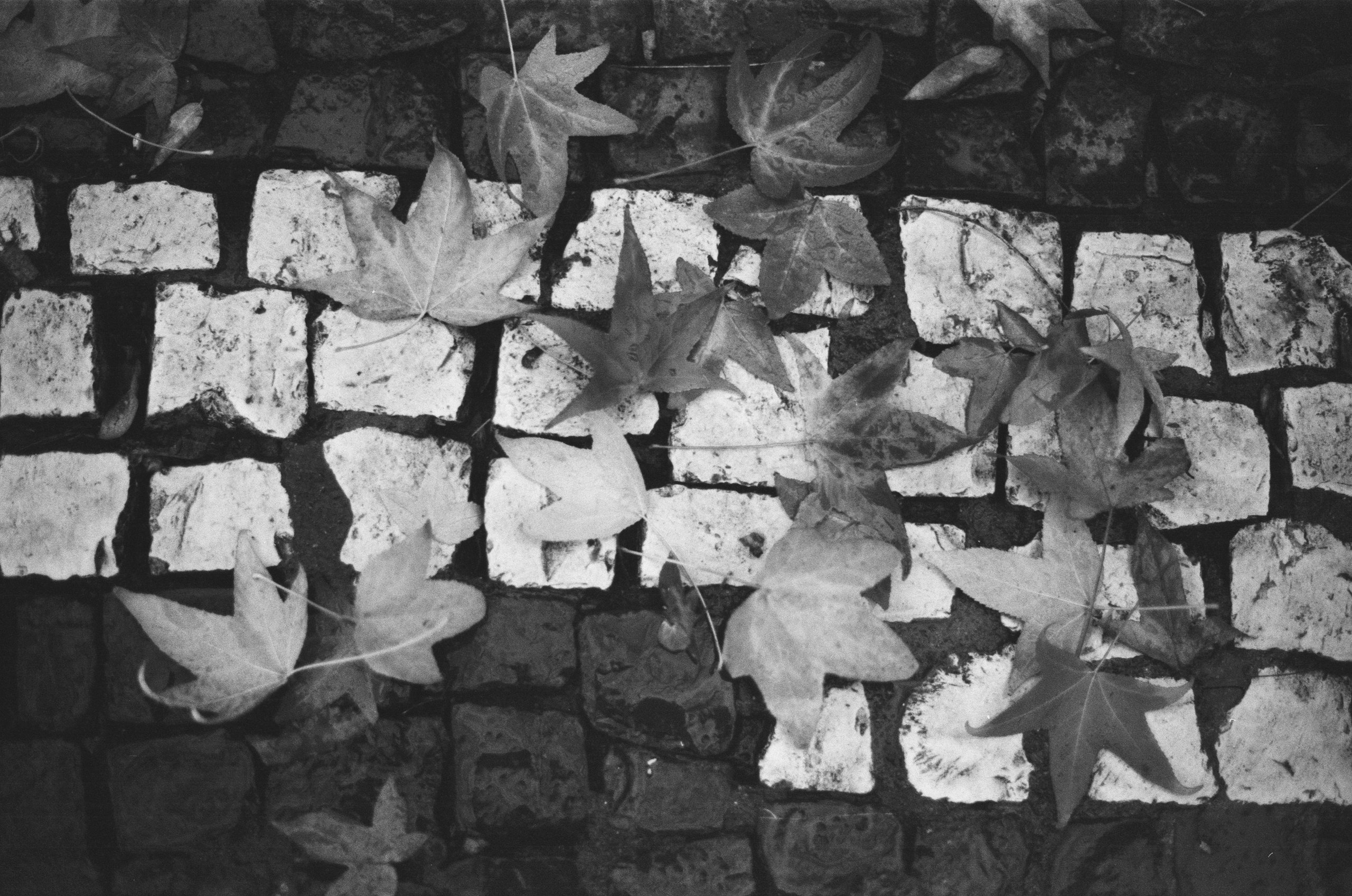 Spanish sahara // spain, caceres II. EVER EXPOSED