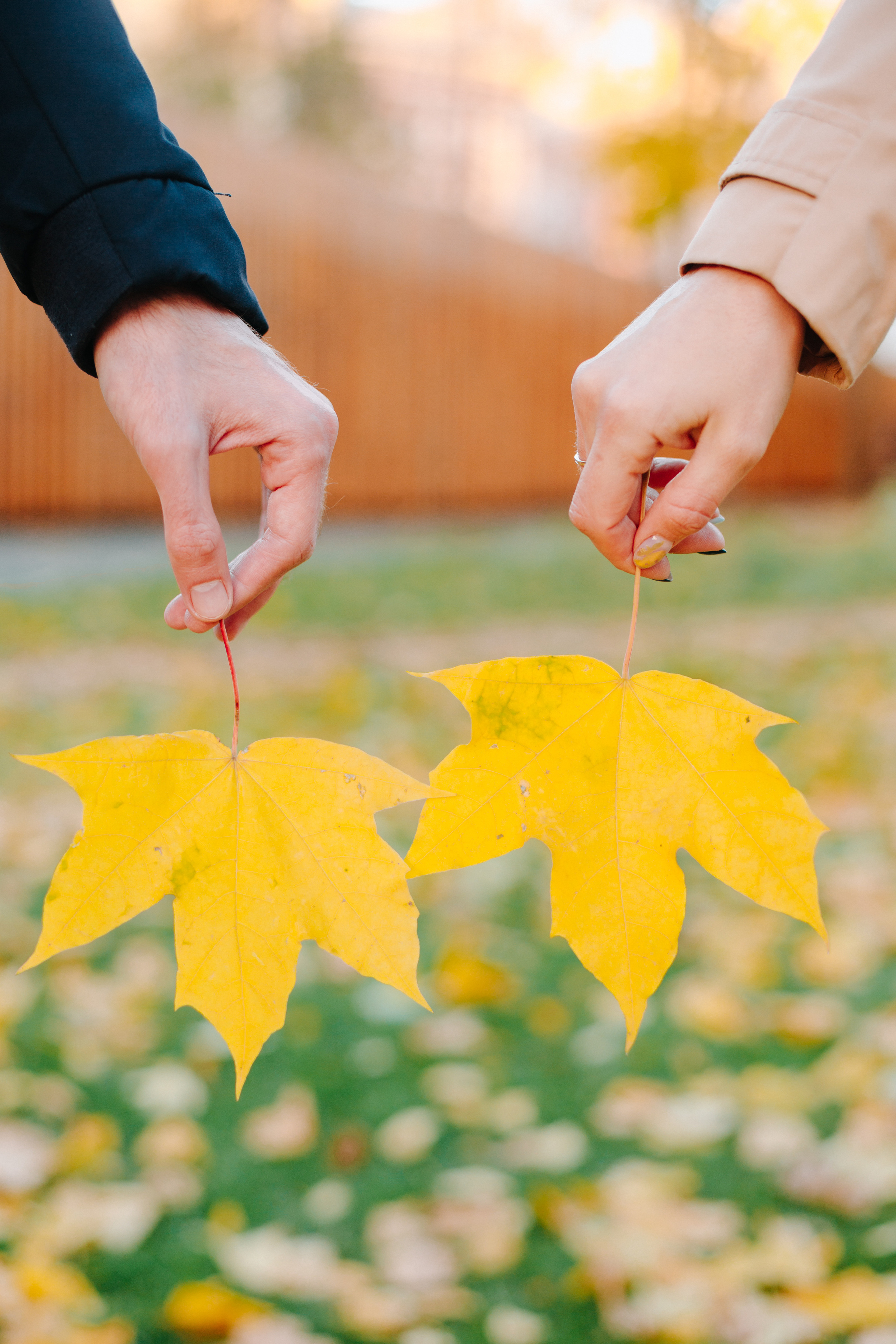 Осенняя сказка для двоих…. Семейный и свадебный фотограф в Воронеже Майя Добровольская