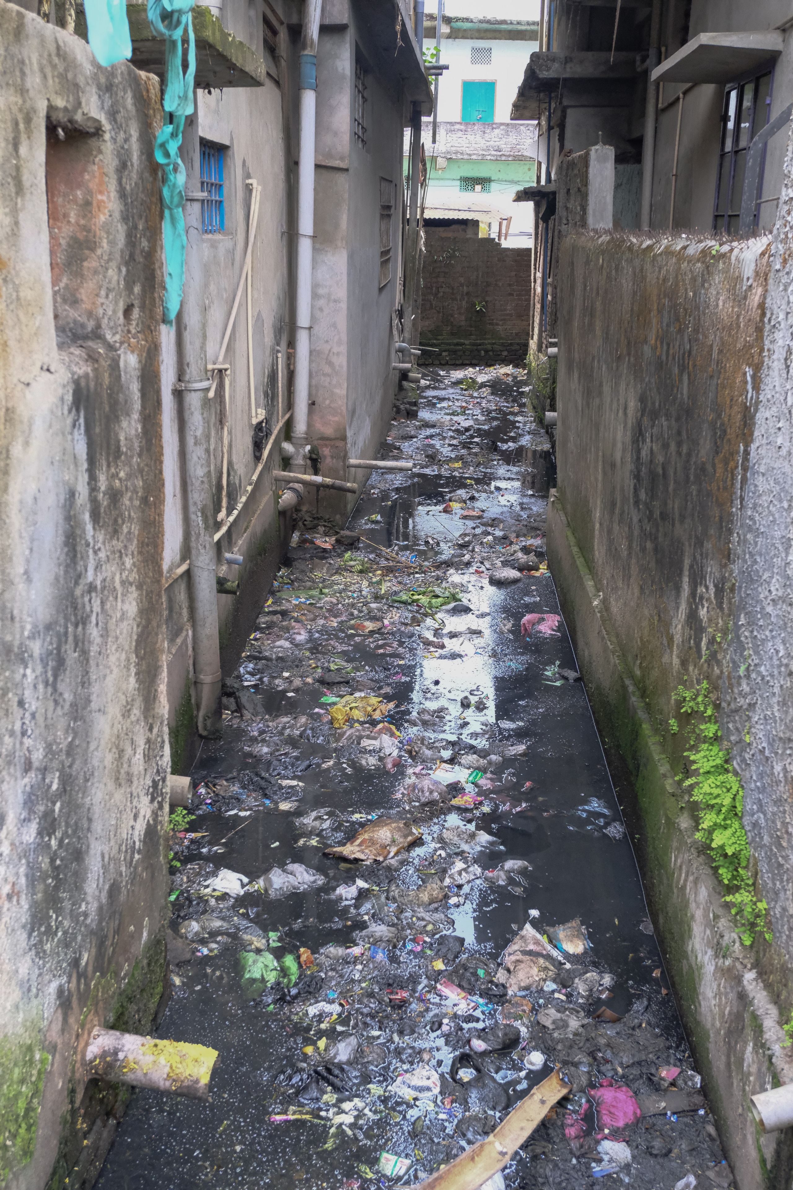 Праздник Холи. Фотографии из путешествий