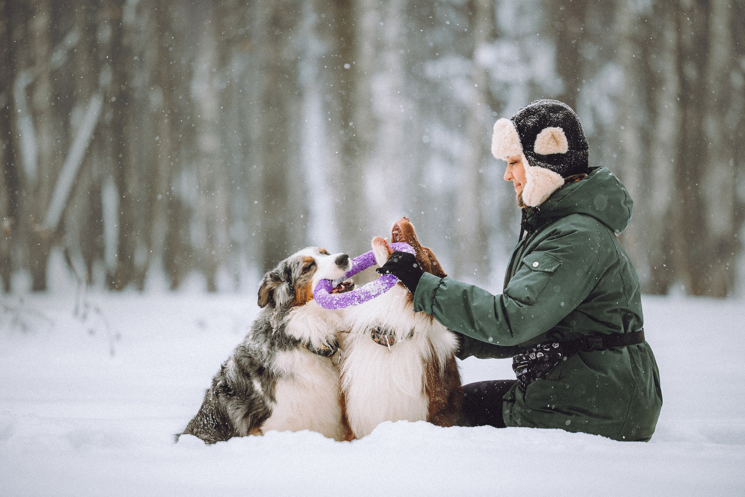 Лена, Принц и Фенек