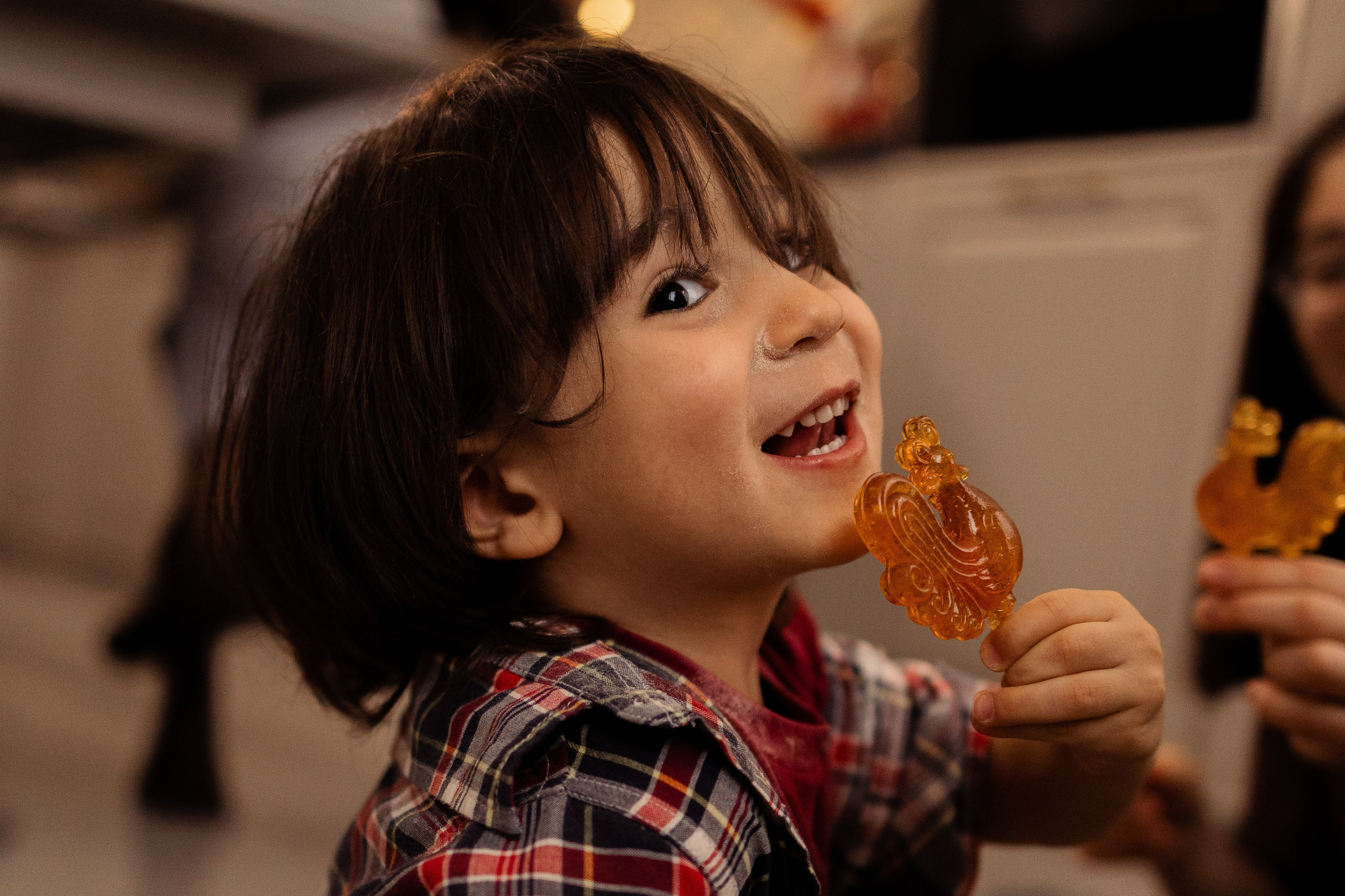 Георгий_Яна_Агния_Алан_Коста. Семейный фотограф Виктория Авдеева