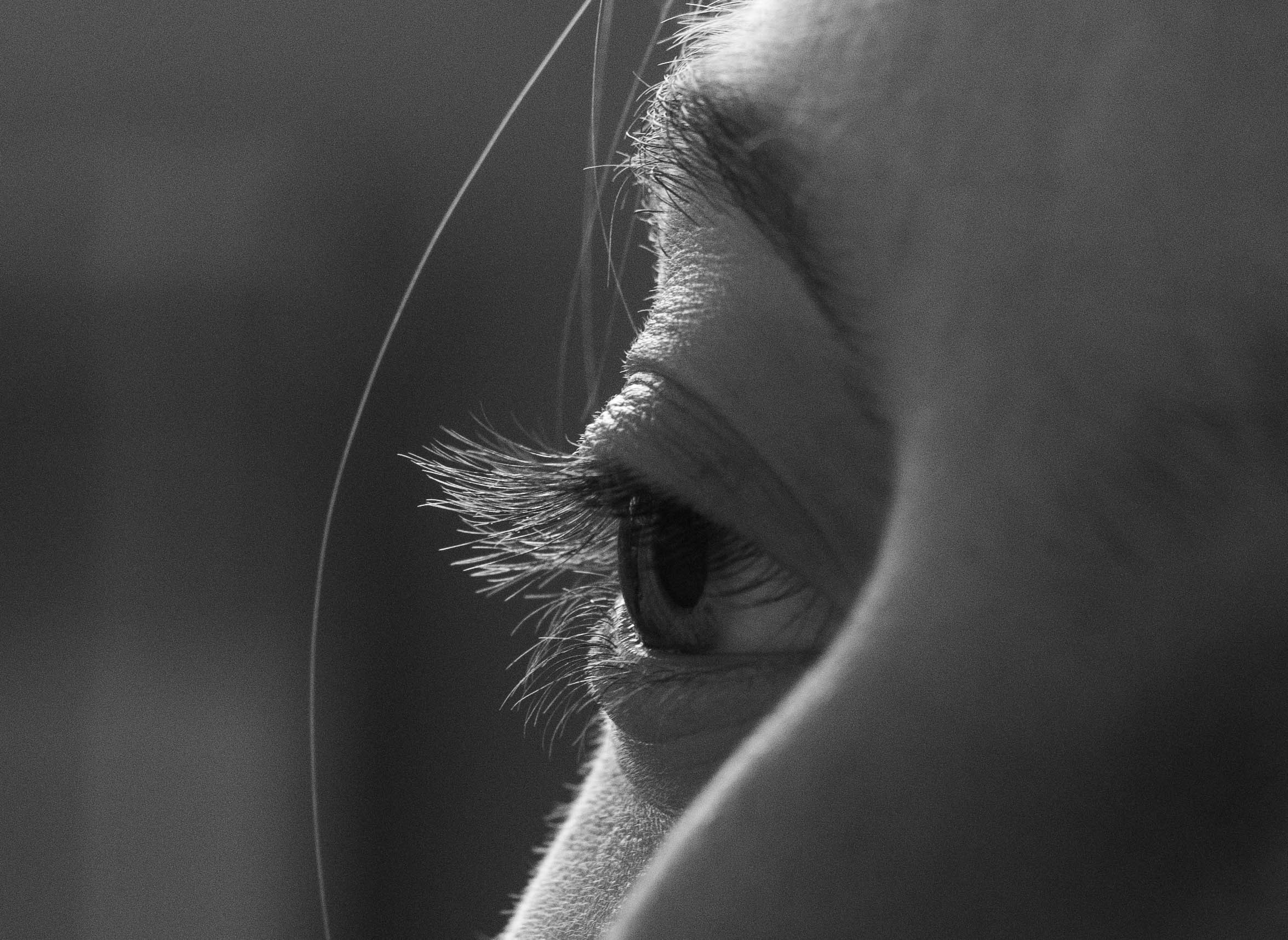 Детали с Аней. Художник и фотограф в Иркутске Алтухова Полина